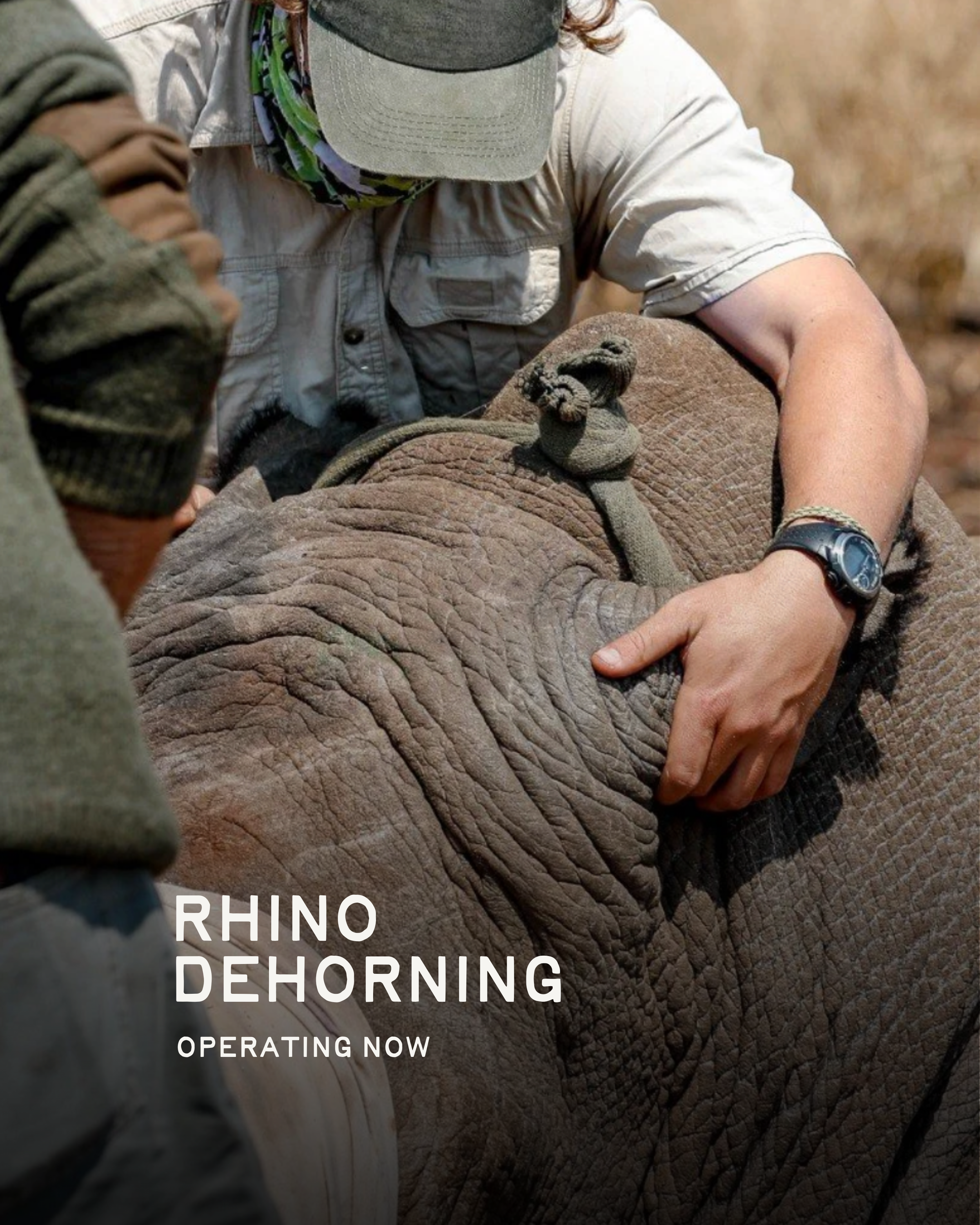 Rhino Dehorning – Operating Now.