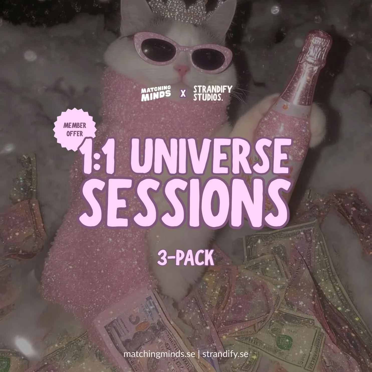 3-pack | 1:1 Universe Sessions (MM-member offer)