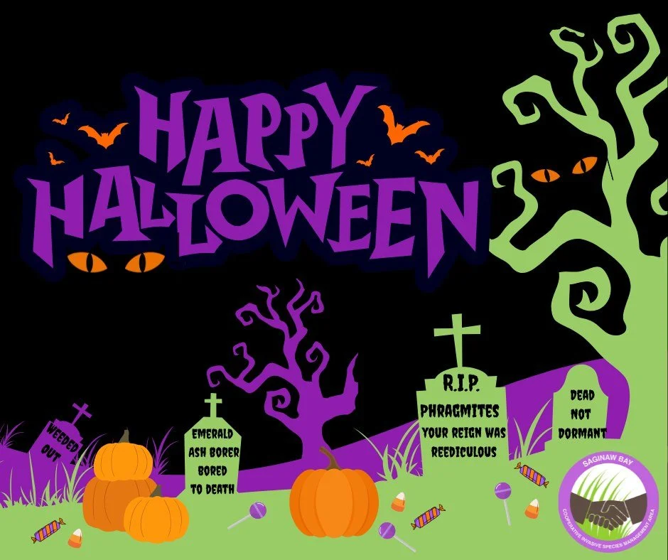 Over the past few weeks, I&rsquo;ve introduced you to some of the spookiest invaders lurking in our wetlands, woods, and waters  from bloodsucking fish, grave breaking plants  and viney monsters creeping across the land. They&rsquo;ve worn their Hall