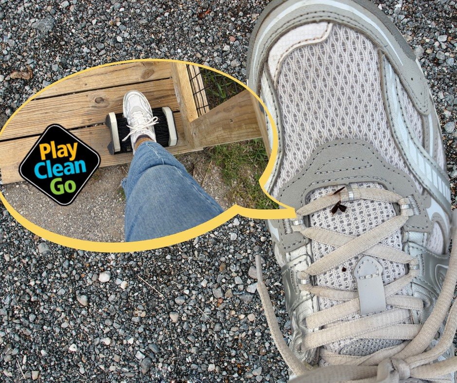 For our 4th day of National Invasive Species Awareness Week we wanted to highlight how you can help prevent the spread of invasive species. When discussing invasive species spread, we have to acknowledge that humans are the main way these species rea