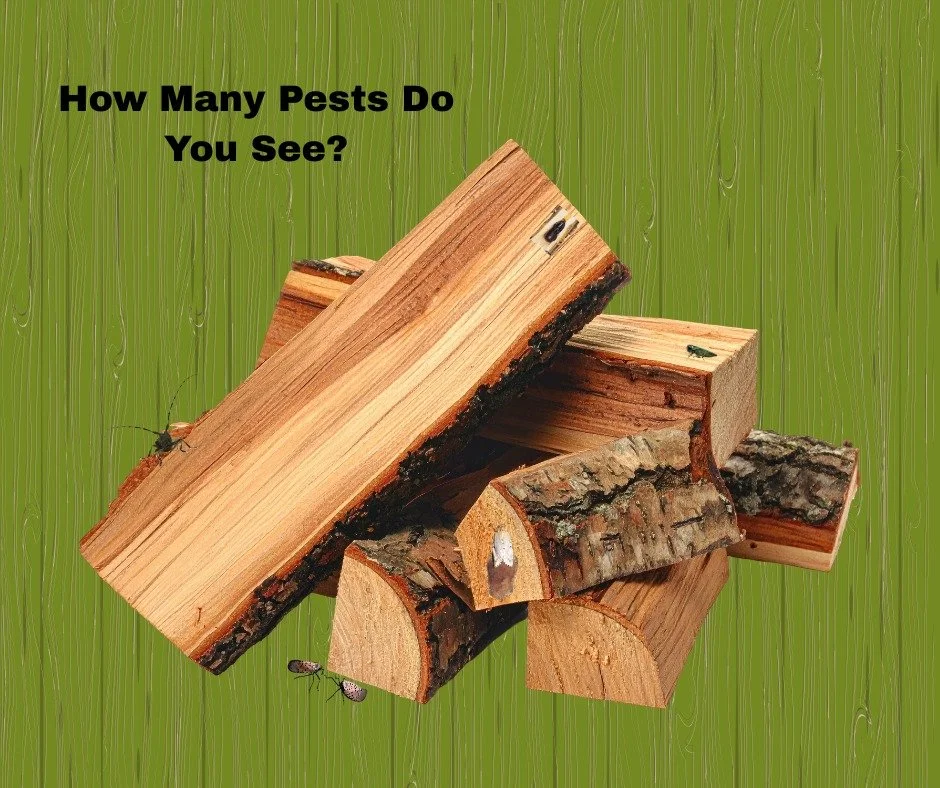 It might look like just a pile of firewood&hellip; but it can carry much more than fuel for your campfire.

The insects you see crawling on firewood are only part of the story. Many invasive pests spend most of their life cycle hidden under the bark 