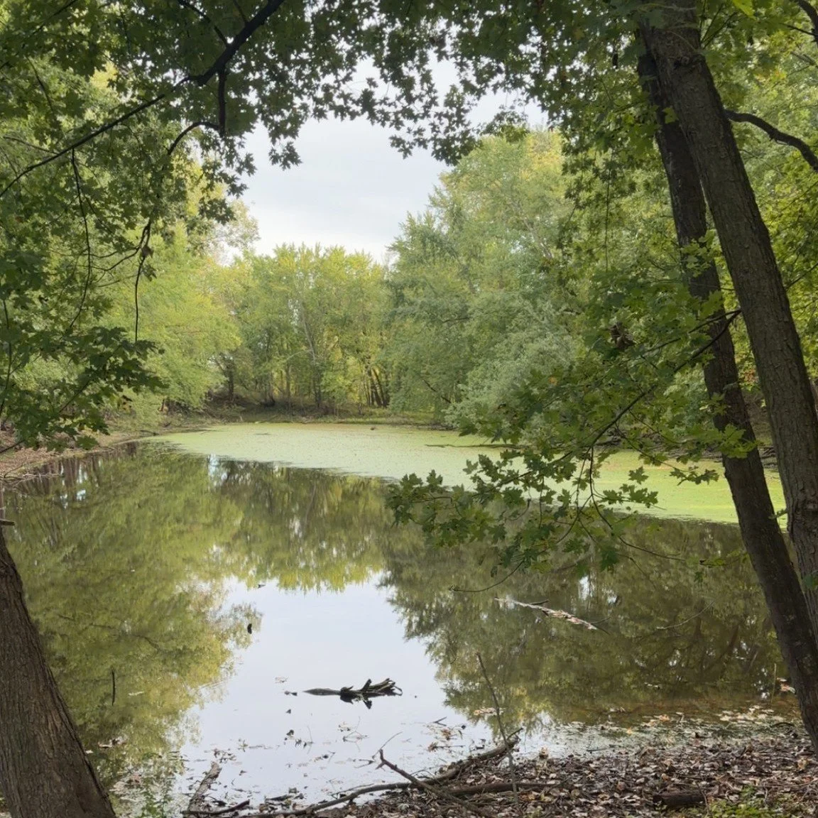 Happy Earth Day!!

Having a position in natural resources is incredibly rewarding. While battling invasive species can be challenging, dirty, and tiring work, taking a moment to step back and appreciate the landscapes we have the privilege of working