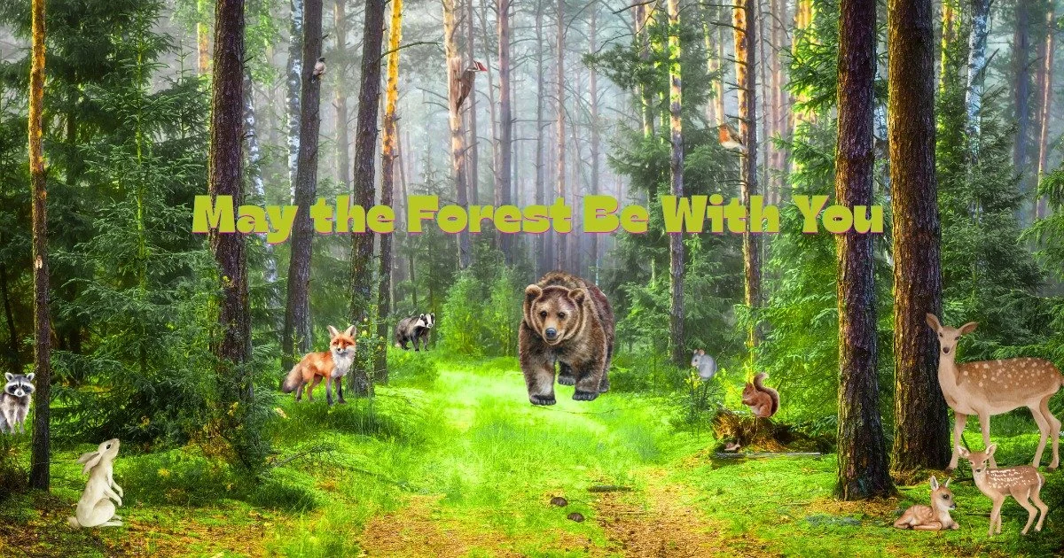 May the Forest Be With You! 

Today we&rsquo;re celebrating the forests that do so much for us by cleaning our air, protecting our water, and providing habitat for wildlife. These crucial habitats are well worth protecting.  Every healthy forest supp