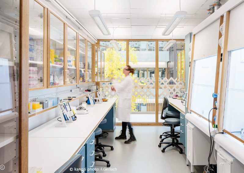 Laboratory with a scientist holding a test tube, equipment, and storage cabinets, bright natural light