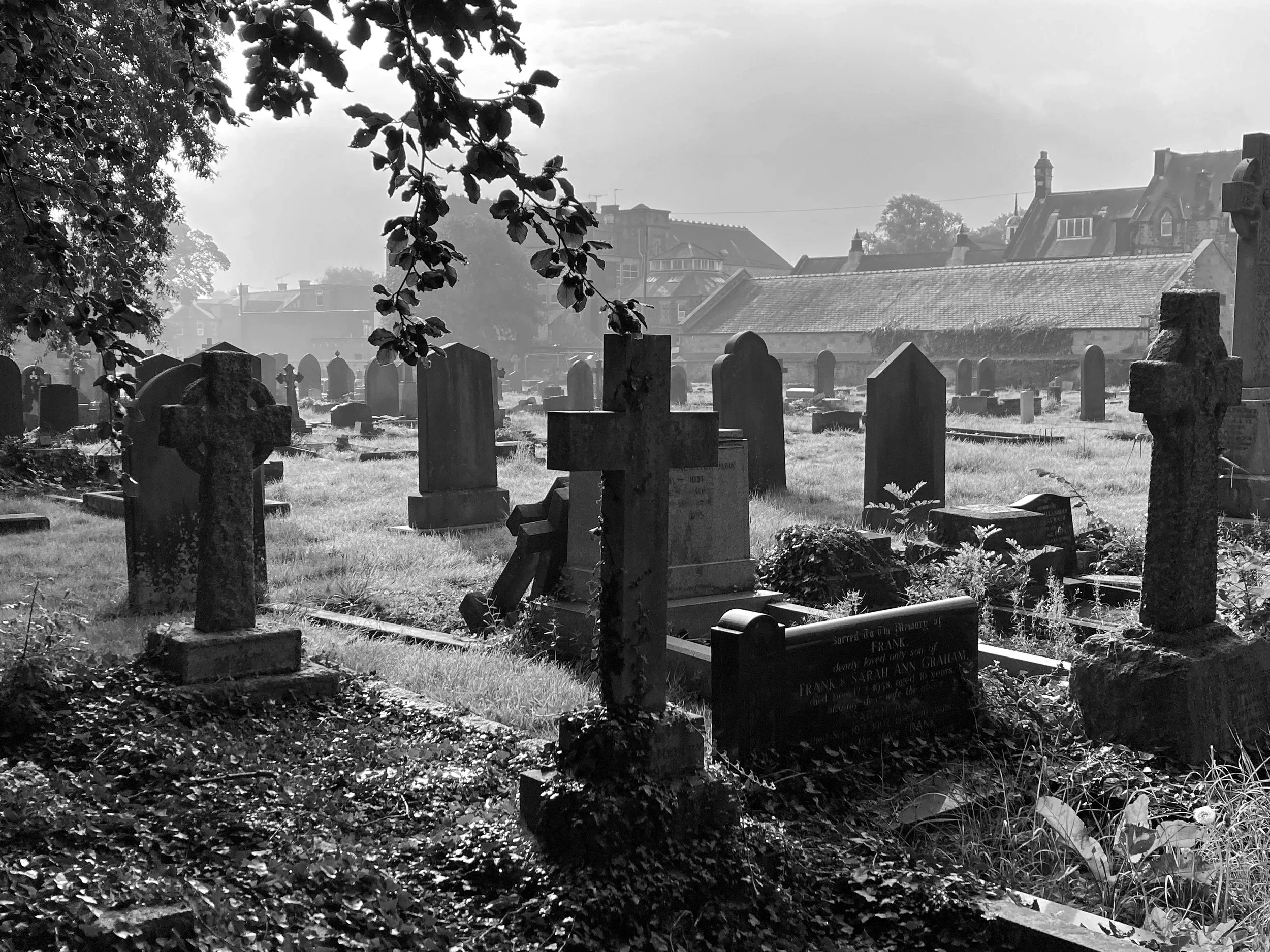 A black-and-white photograph of a graveyard with numerous tombstones of various shapes and sizes. Overgrown grass and leaves are visible on the ground, and a large tree with overhanging branches partially frames the scene. In the background, there ar