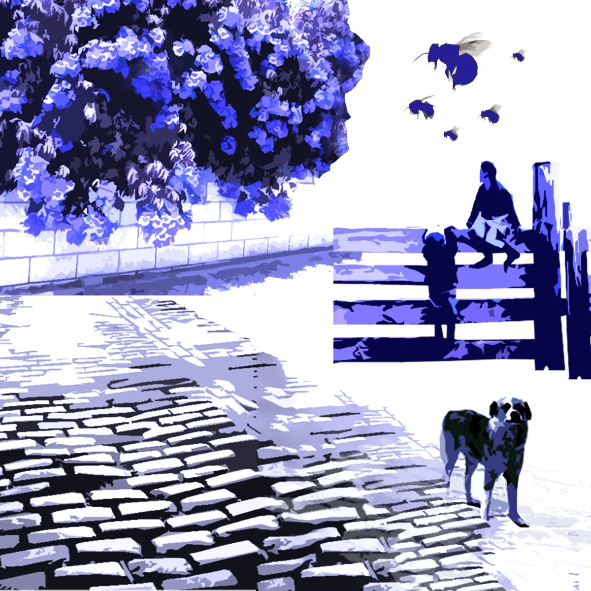 dp fragment 1.jpg