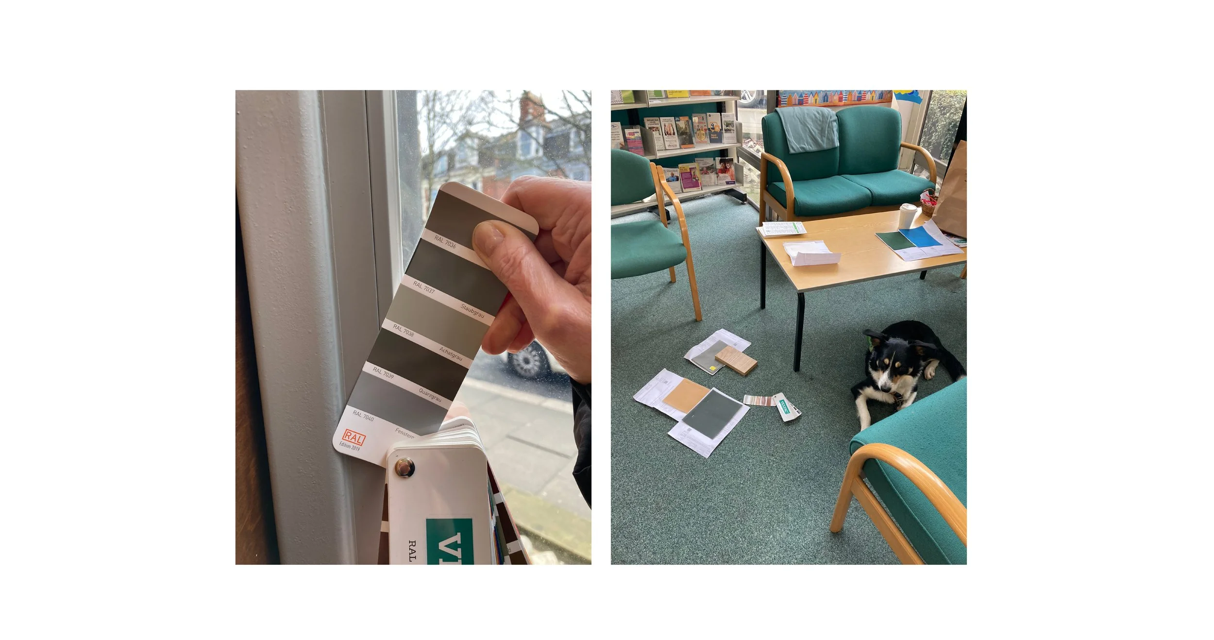 A person holding a paint color sample card near a window, and a waiting room with tangled papers, chairs, a dog, and a bookshelf filled with books.