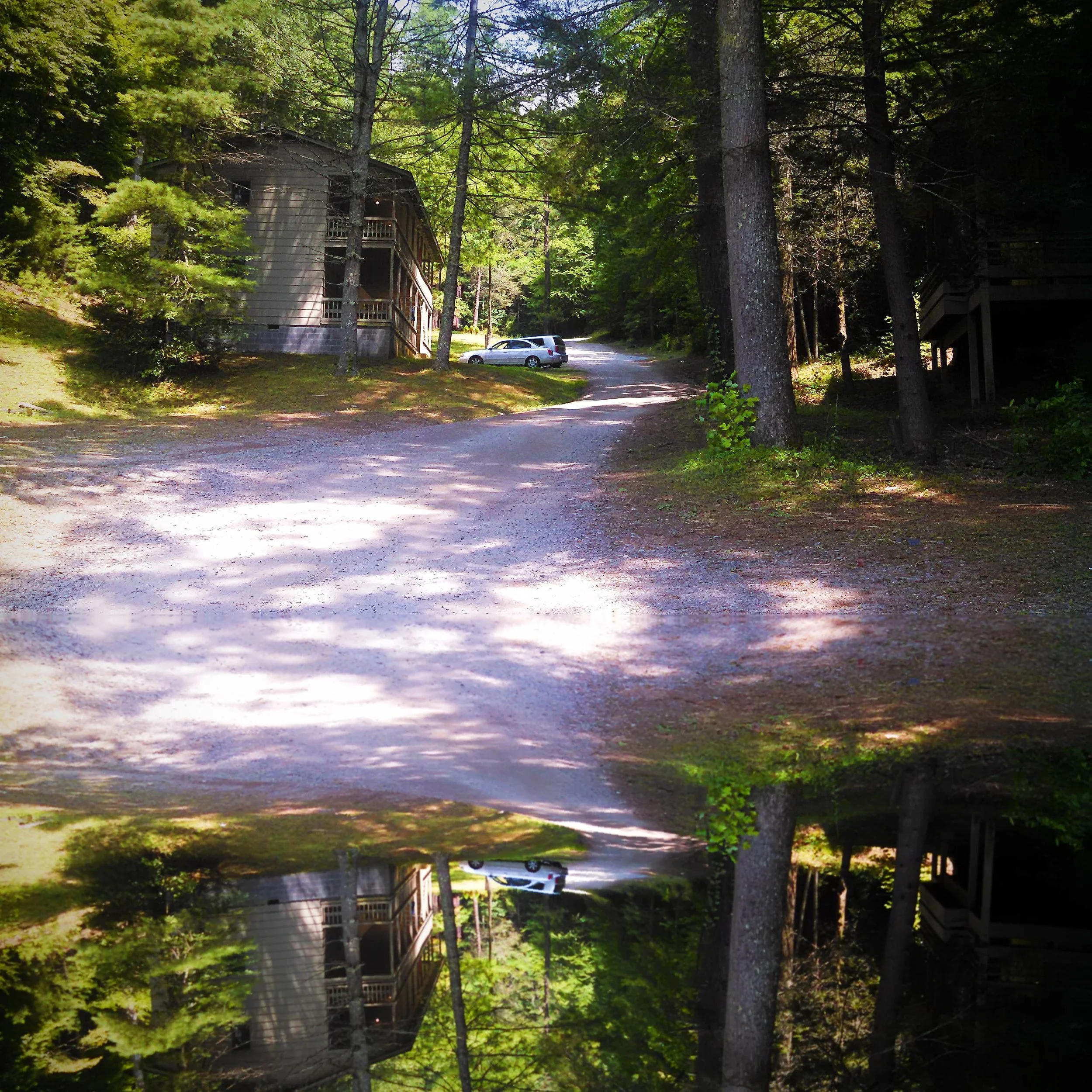 VoicesfromtheCabin_AlbumArt_3000x3000.jpg