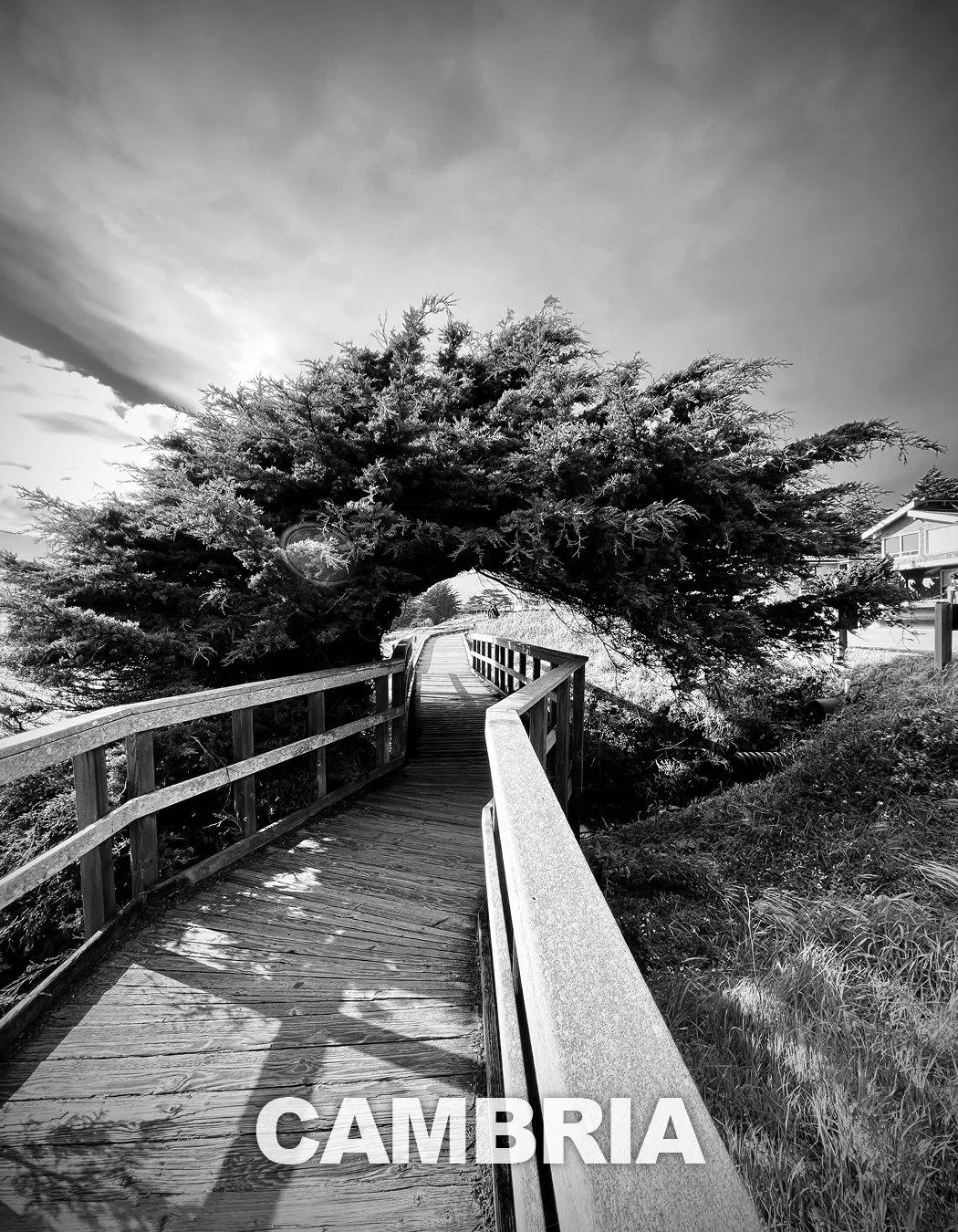 Photos To Share_04.jpg