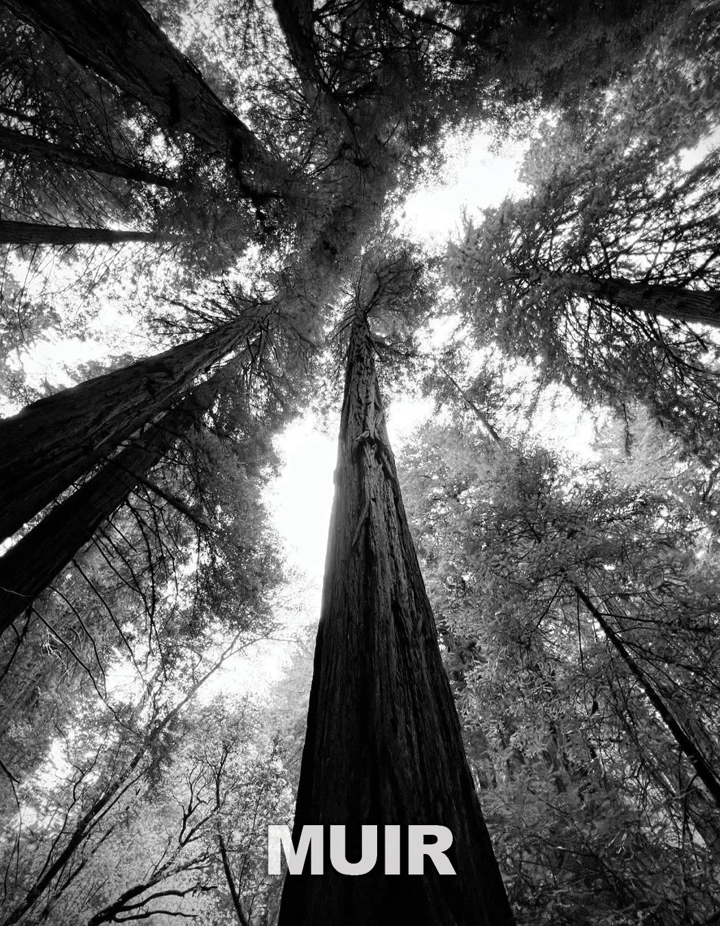 Photos To Share_07.jpg