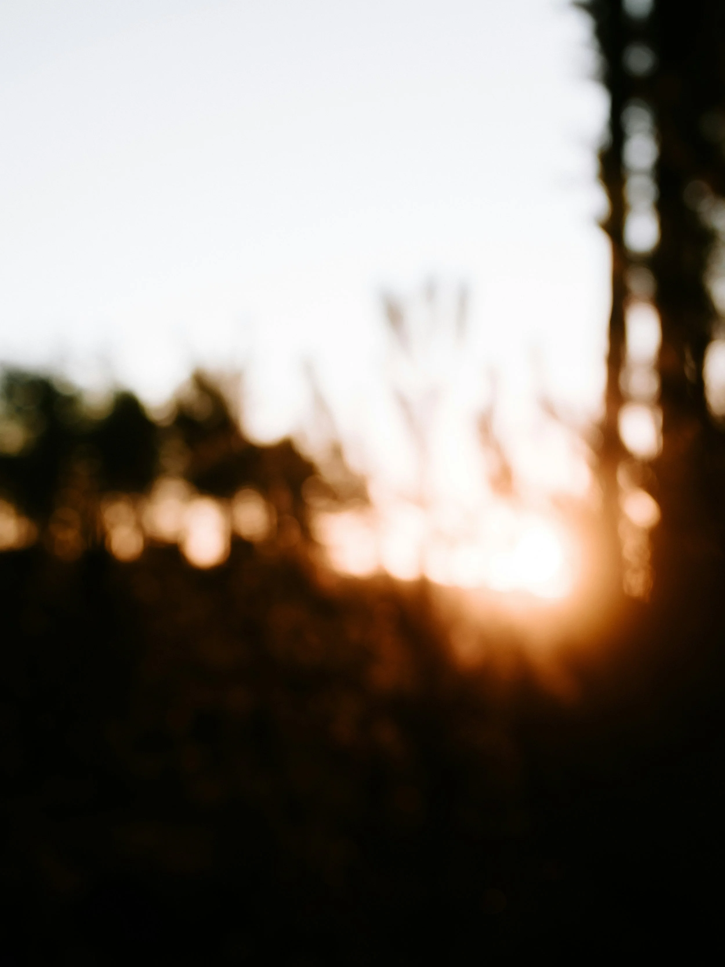 What is Qigong and why is it so good for your nervous system?
