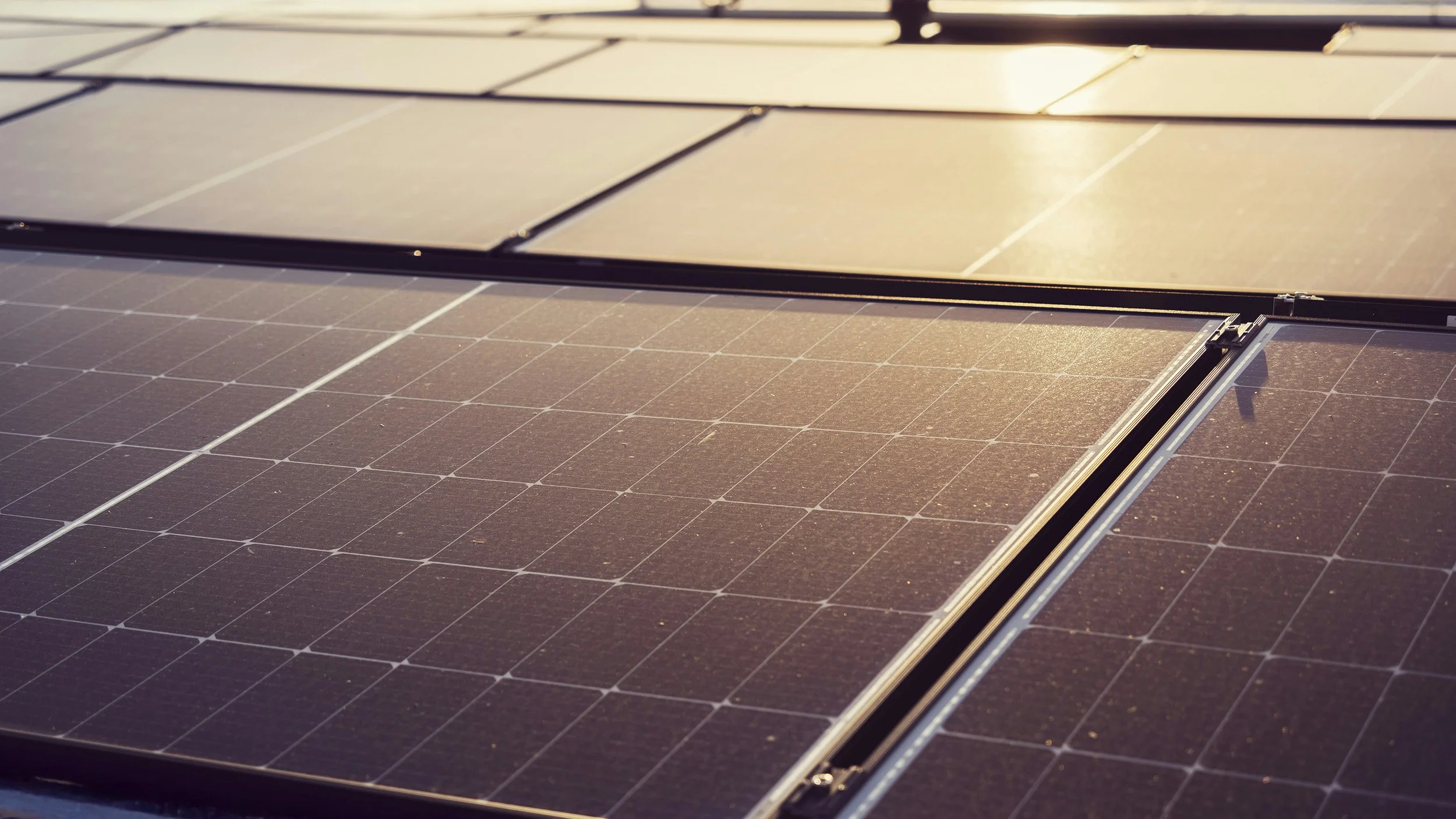 Flera solpaneler installerade på en takyta som reflekterar solljus.