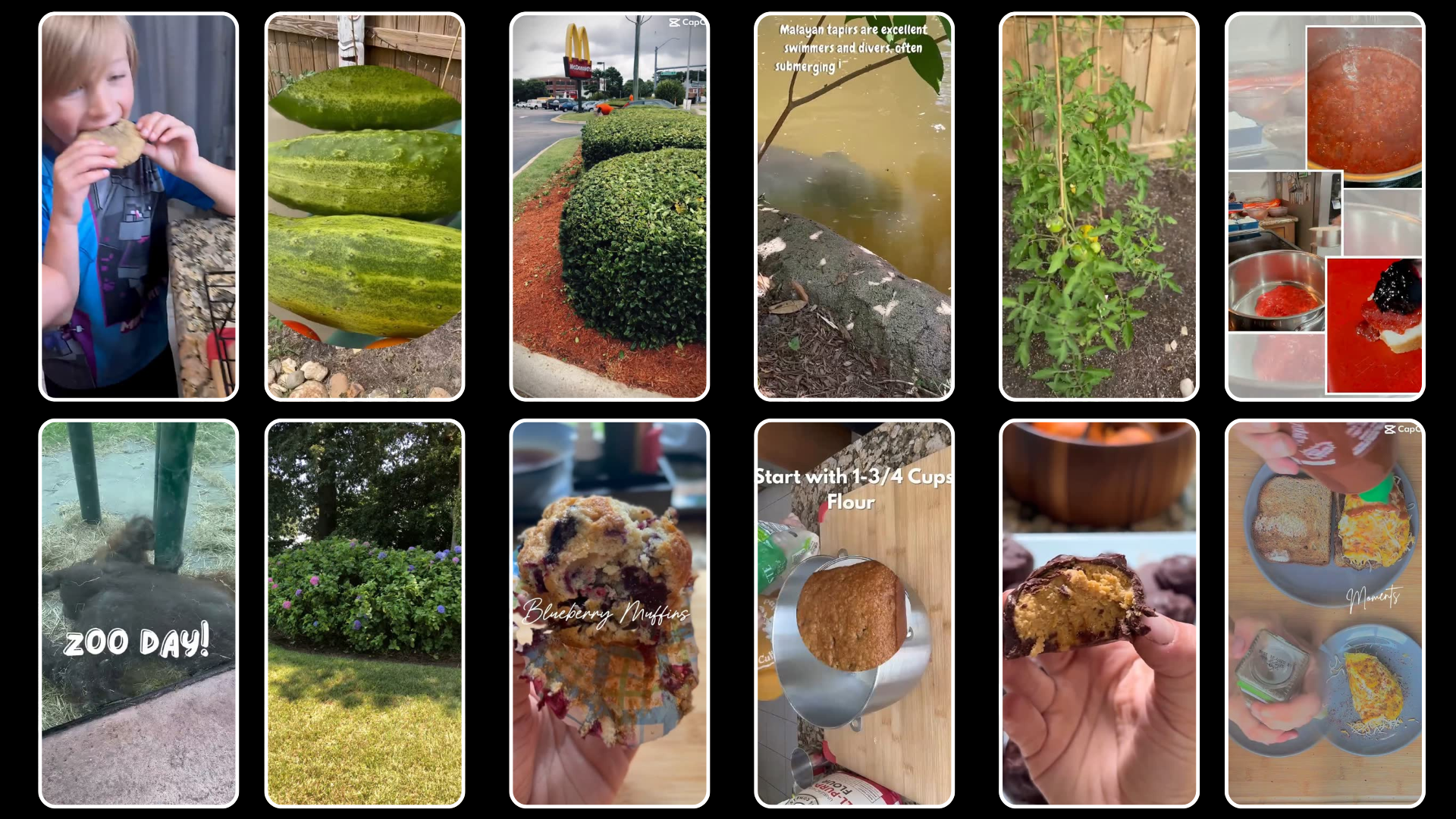 Untitled (Presentation) (1).png