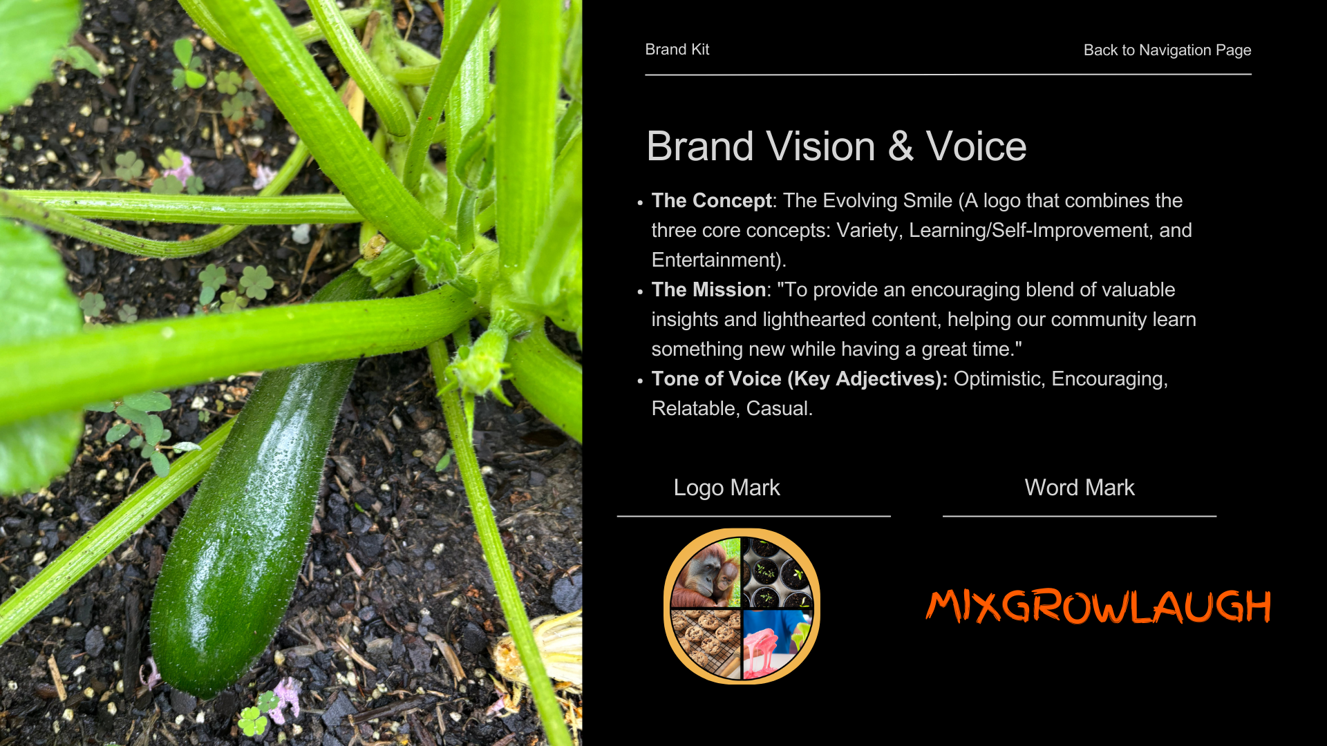 Brand Vision & Mission Statements