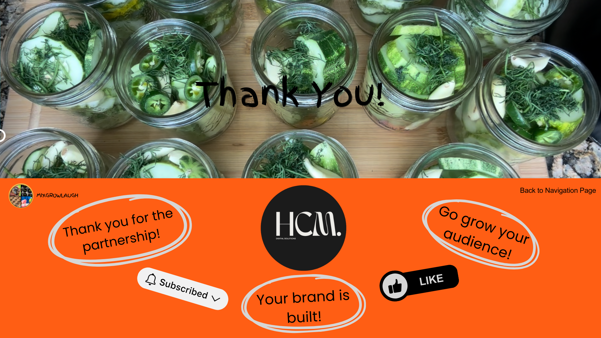 Elements, Shapes, and Illustrations (2).png