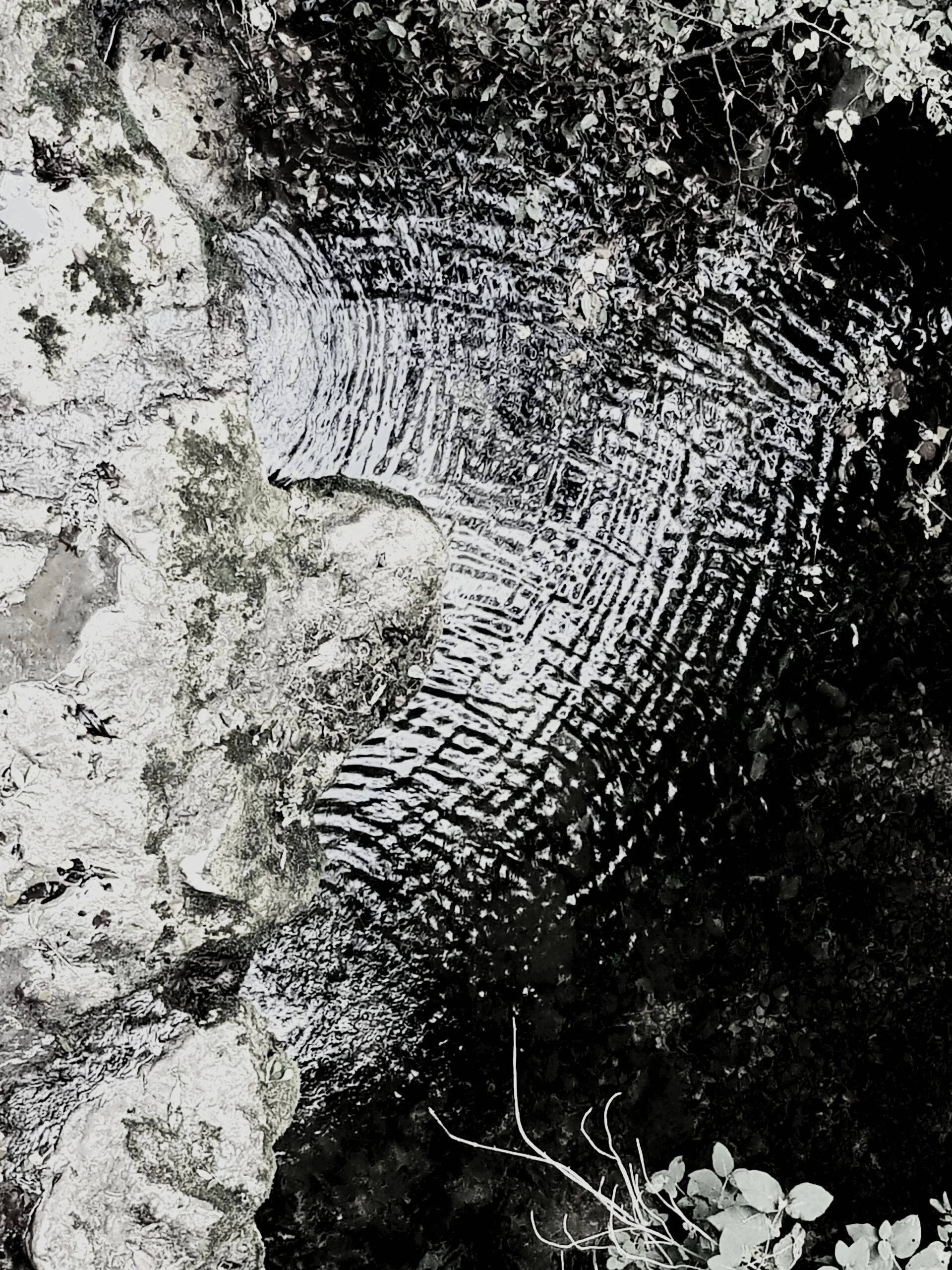 Une pierre avec une surface rugueuse et une texture texturée, entourée de végétation et de petits plants. La pierre est partiellement dans l'ombre, avec des détails en relief visibles.