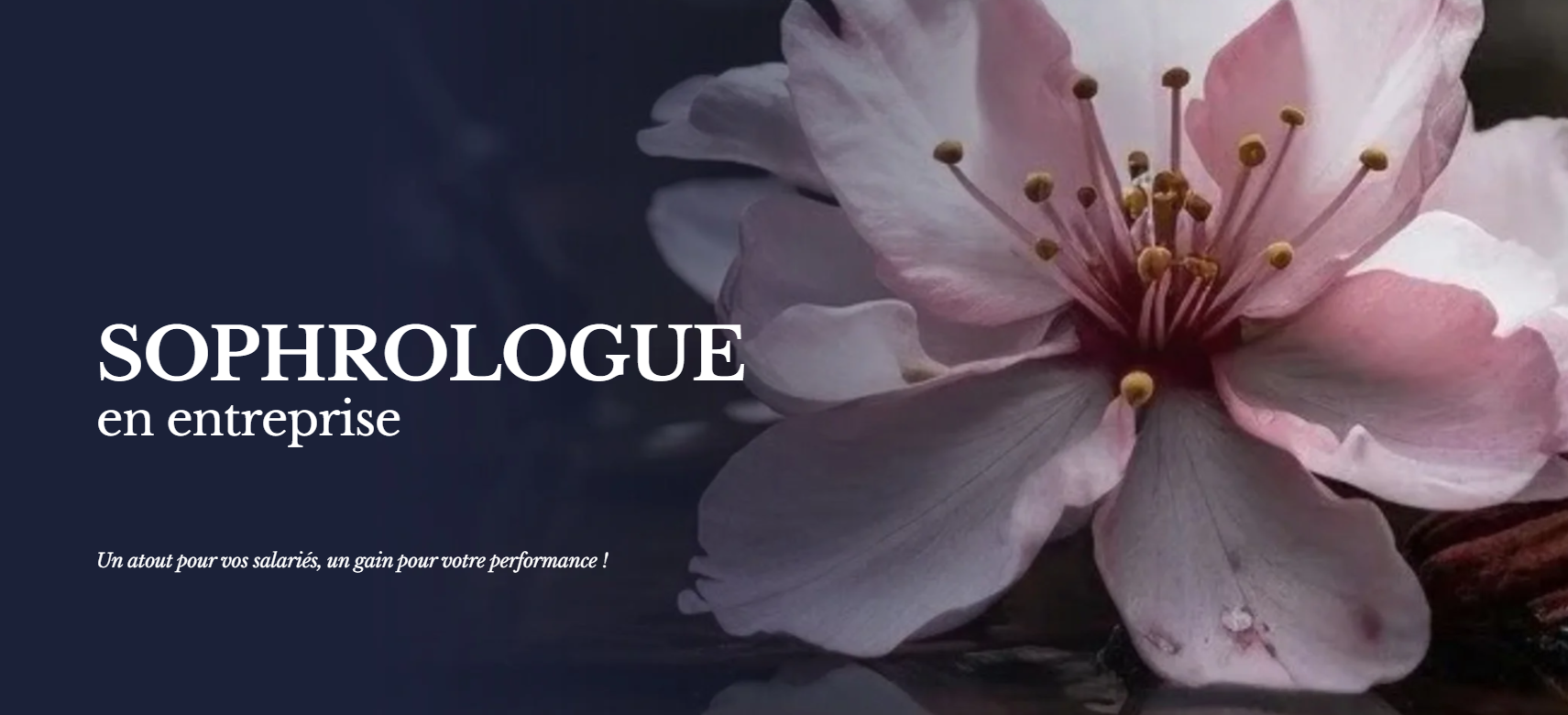 Une image de fleurs de cerisier roses avec un texte promotionnel pour une formation en sophrologie en entreprise, mentionnant un avantage pour les salariés et la performance.