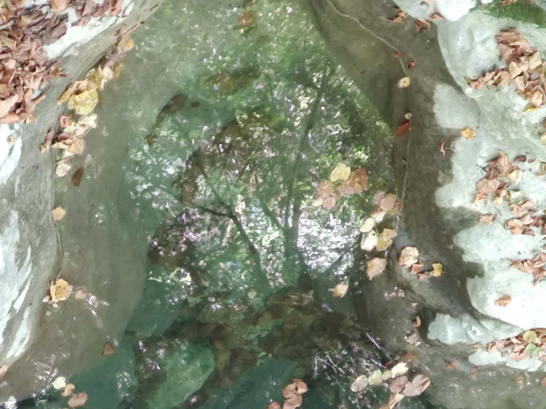 A small natural spring or pond surrounded by rocks and fallen autumn leaves, with reflections of trees and sky on the water surface.