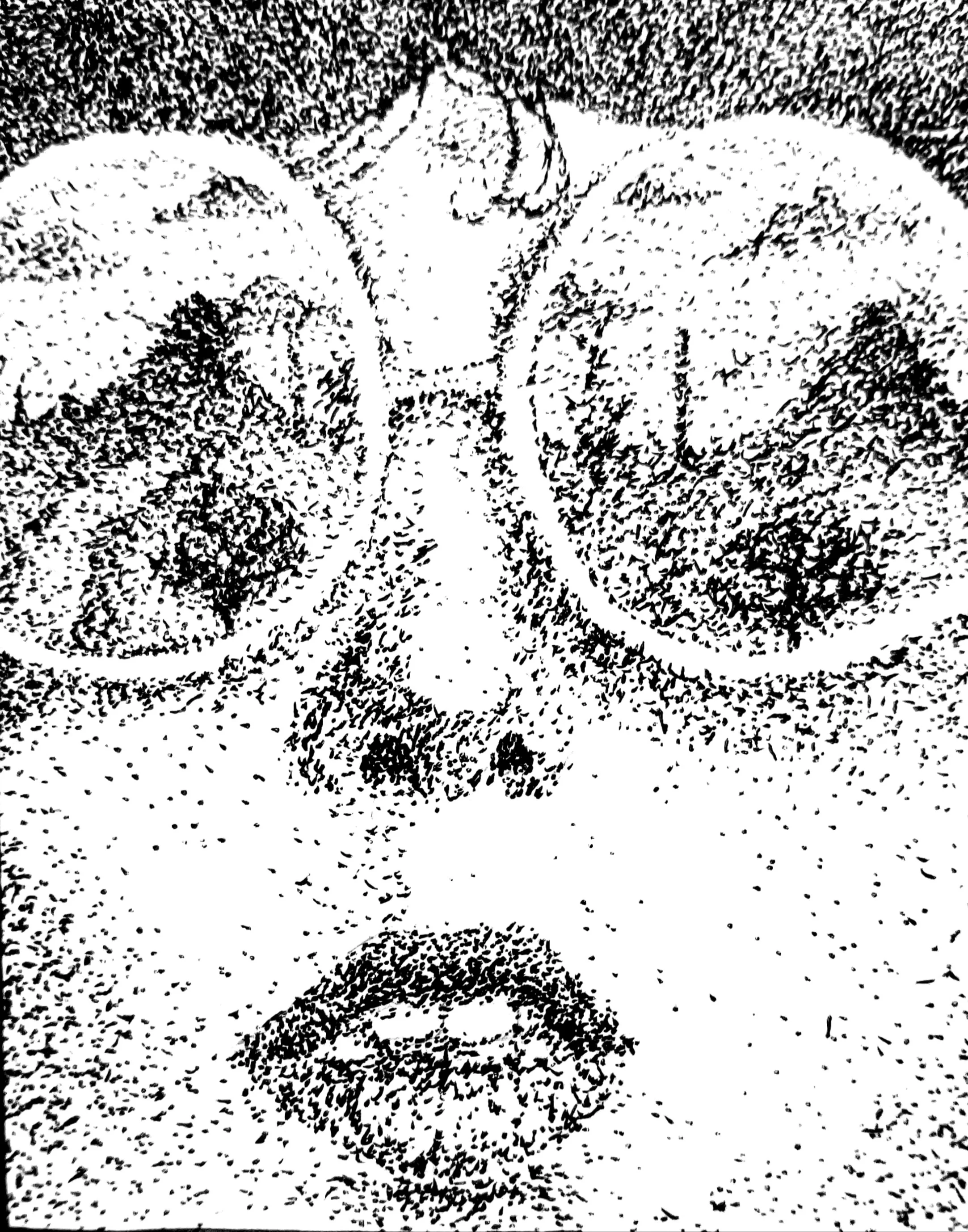 20210320_155119.jpg