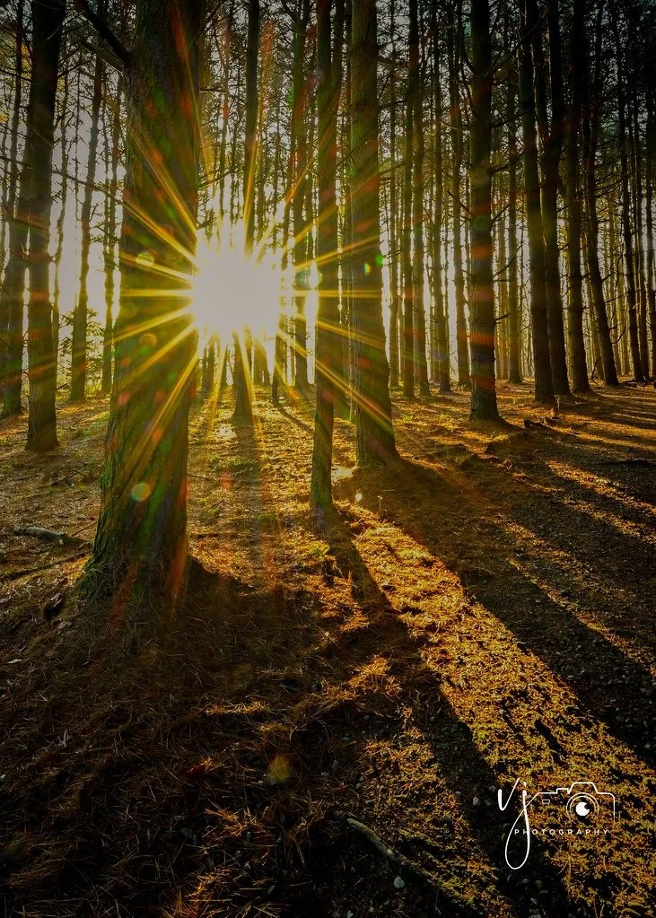 Abundance Mindset: How to Shift from Scarcity Thinking to Inner Confidence