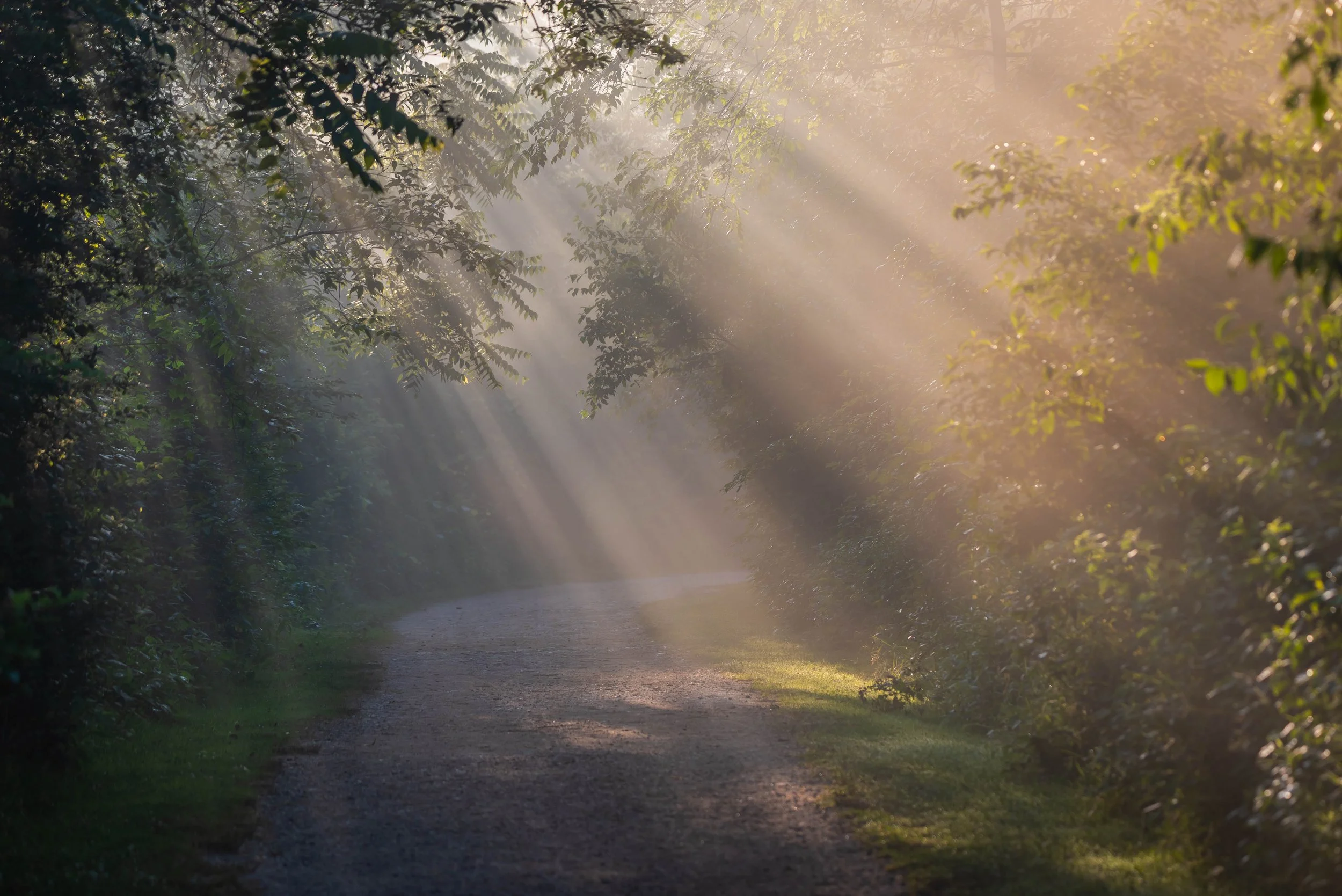 7 Effective Ways to Let Go of Anxiety