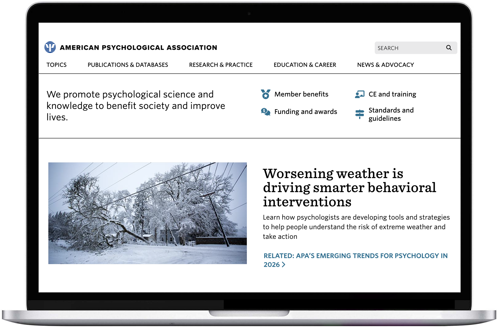 American Psychological Association