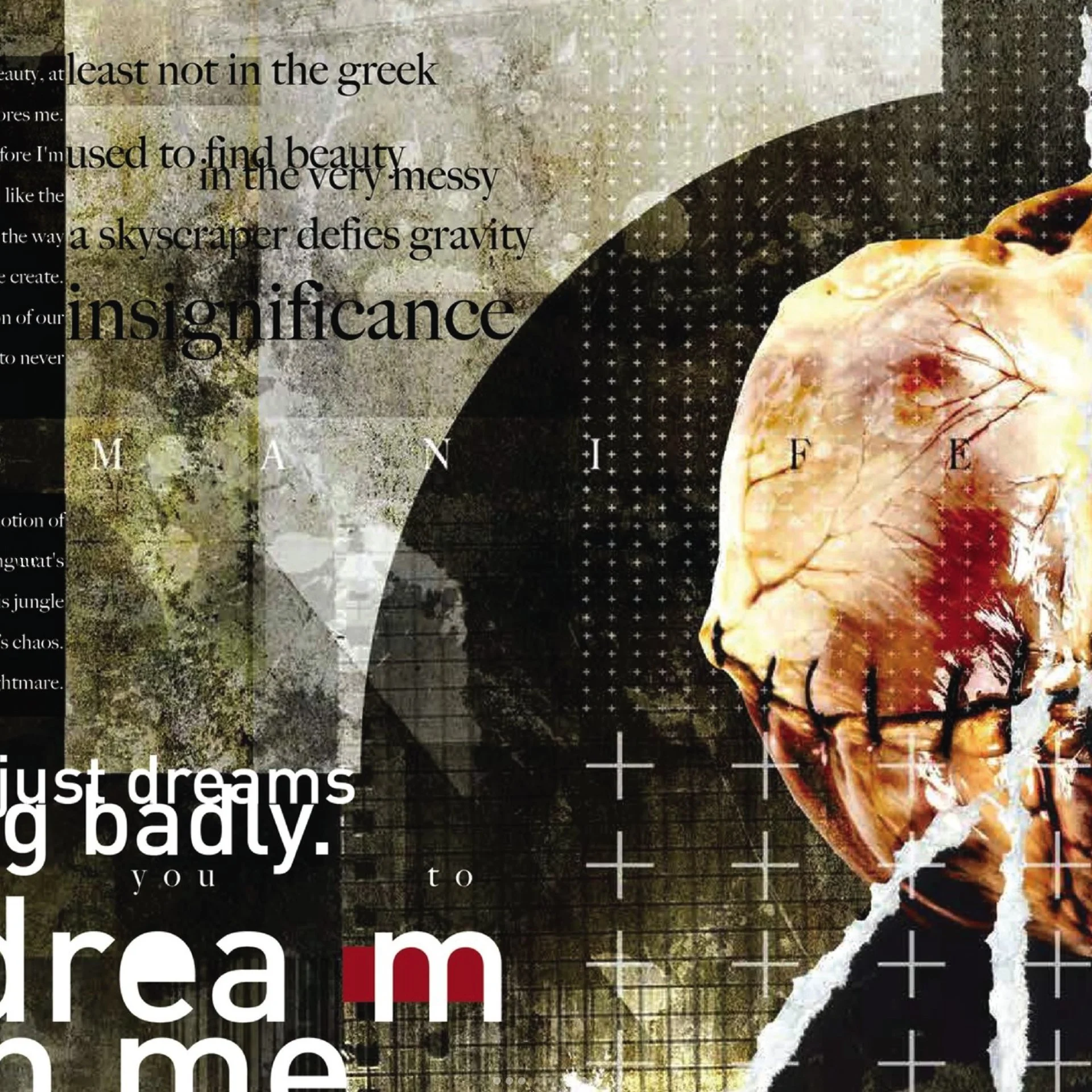 46pgs Magazine (2022)
Chaos Manifesto 5/9