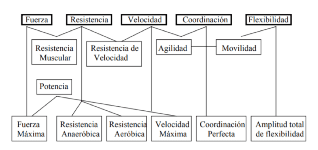 Desarrollo de la Condición Física | The PULSE Program