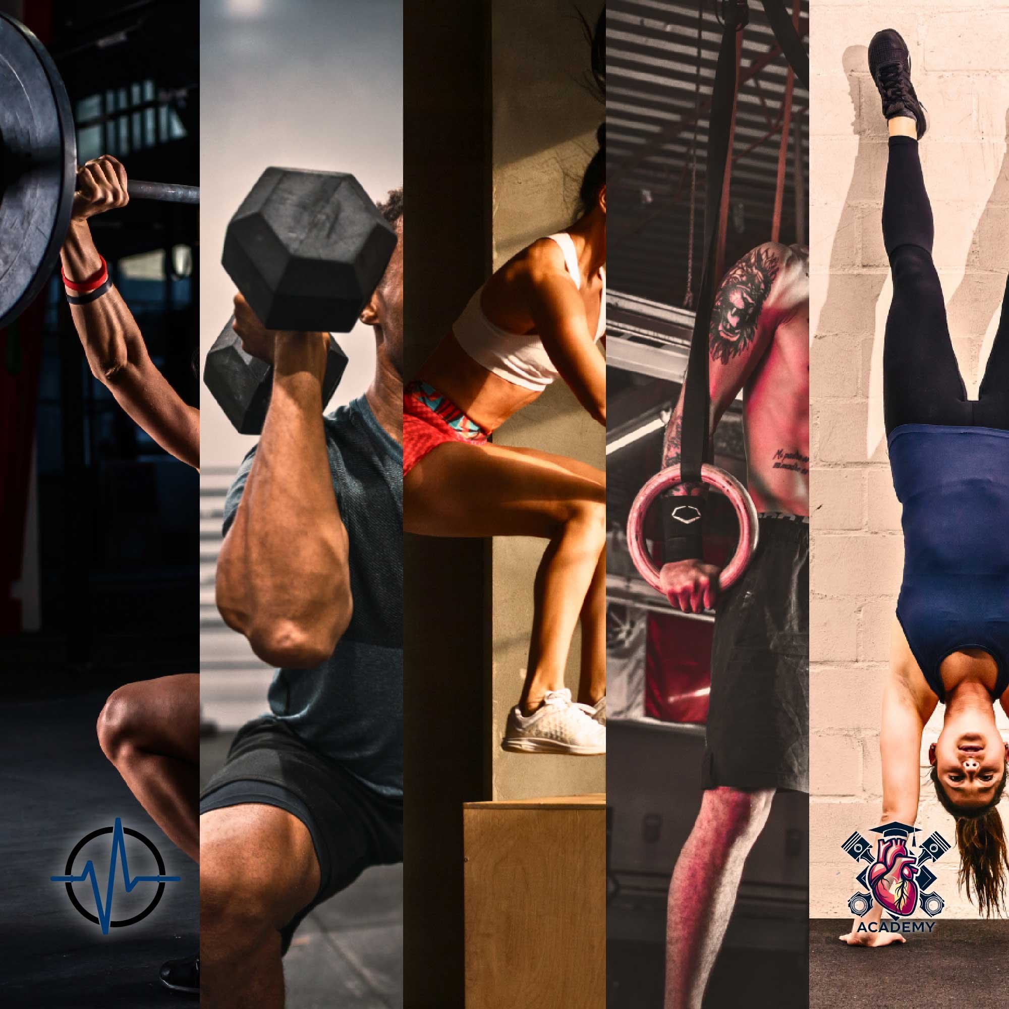 EL TRABAJO DE HABILIDAD Y PERFECCIONAMIENTO TÉCNICO EN DEPORTISTAS