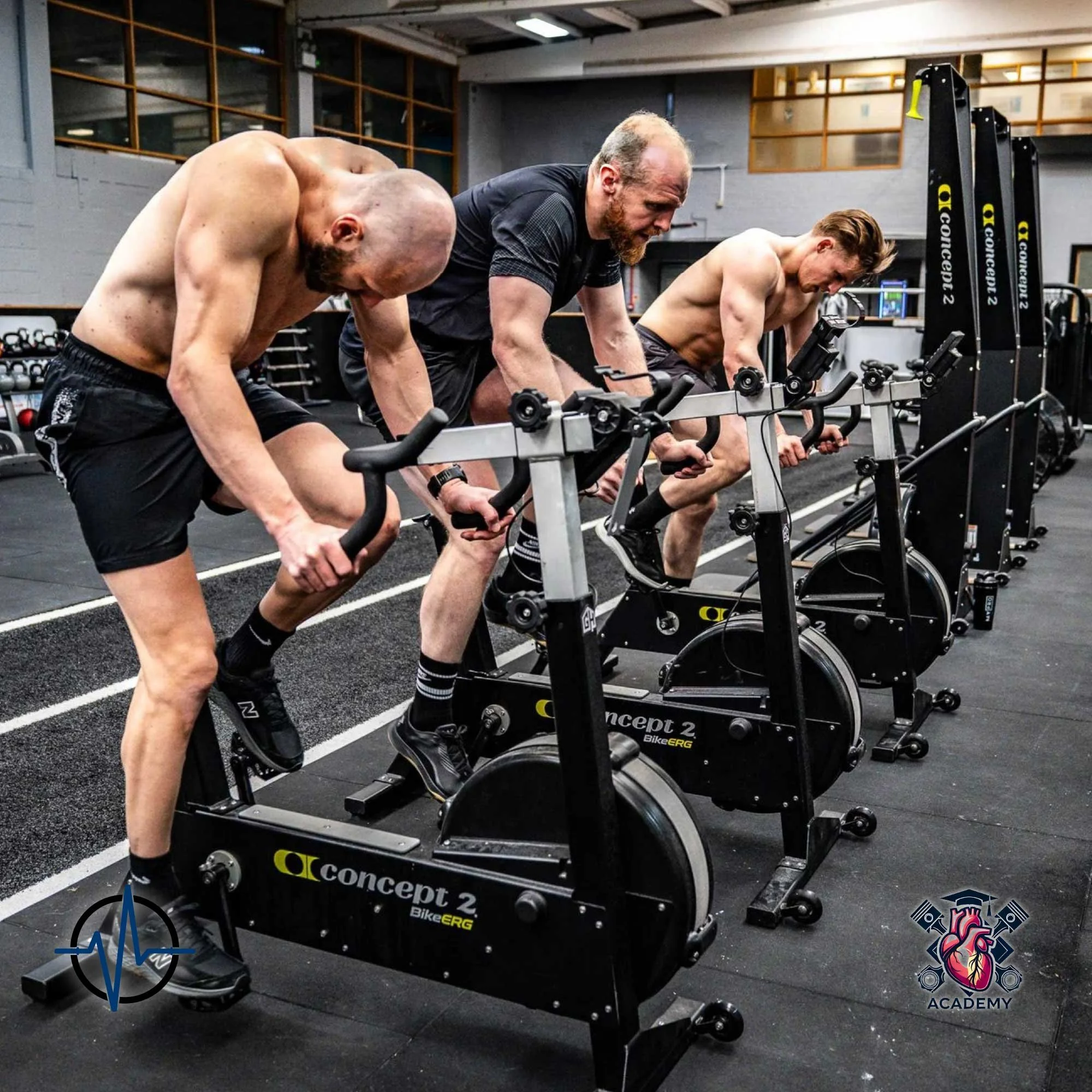 BIKE-ERG: ANÁLISIS DE RENDIMIENTO Y ASPECTOS TÉCNICOS