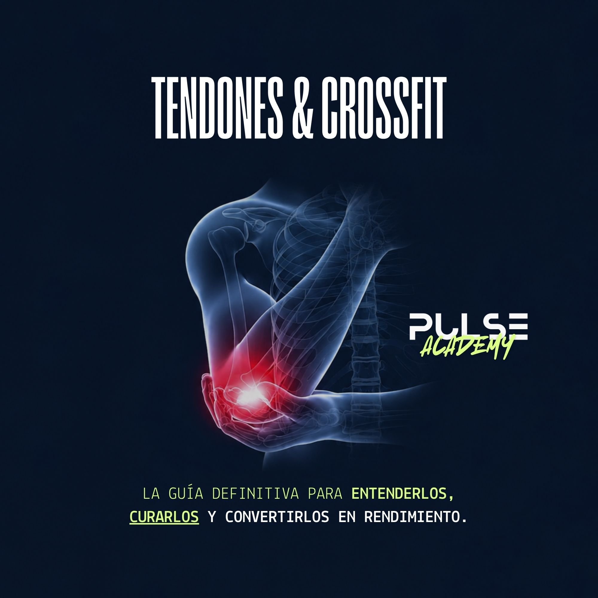 Tendones en CrossFit: la guía definitiva para entenderlos, curarlos y convertirlos en rendimiento