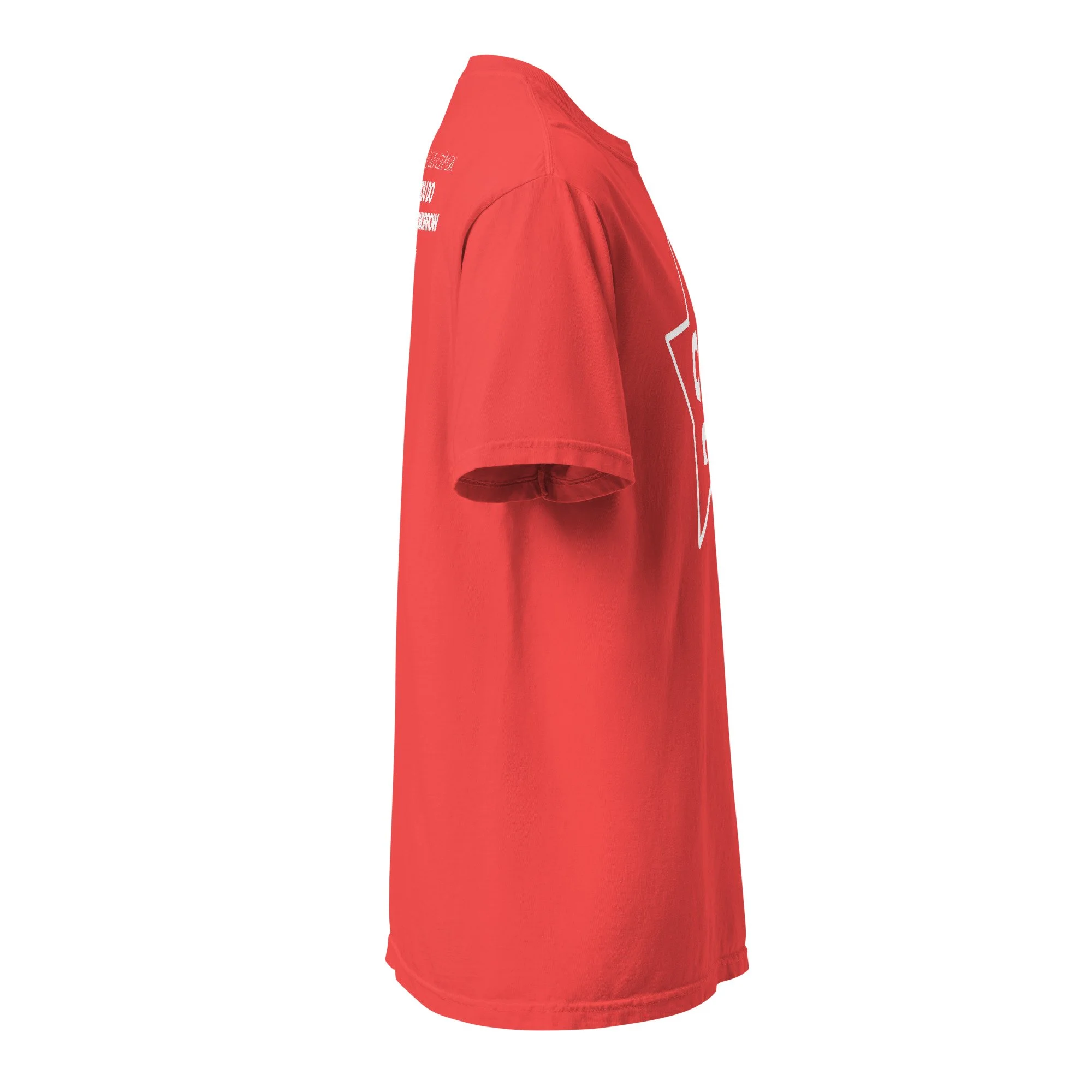 CCC Mentality heavyweight t-shirt