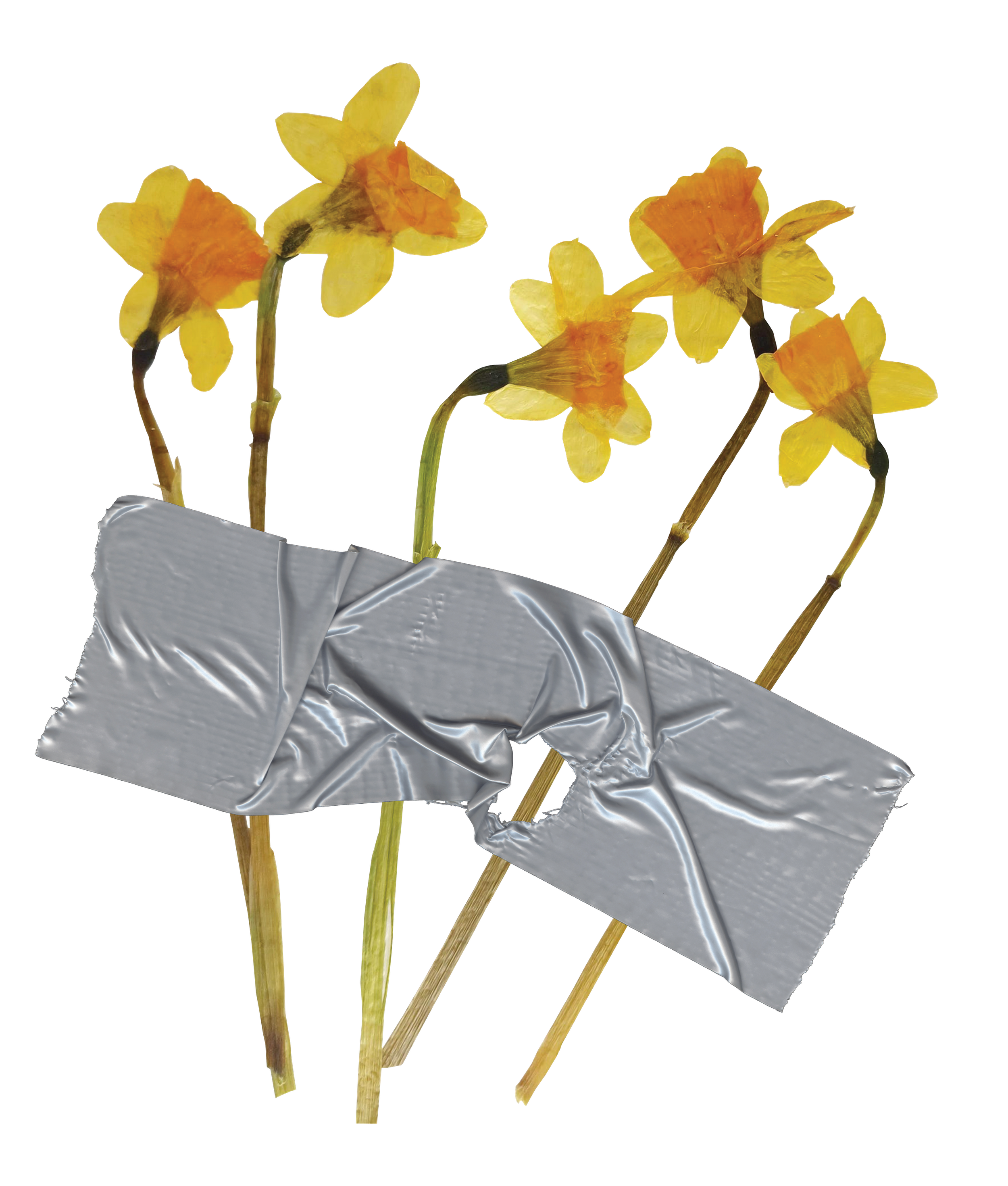 Perfect Imperfections