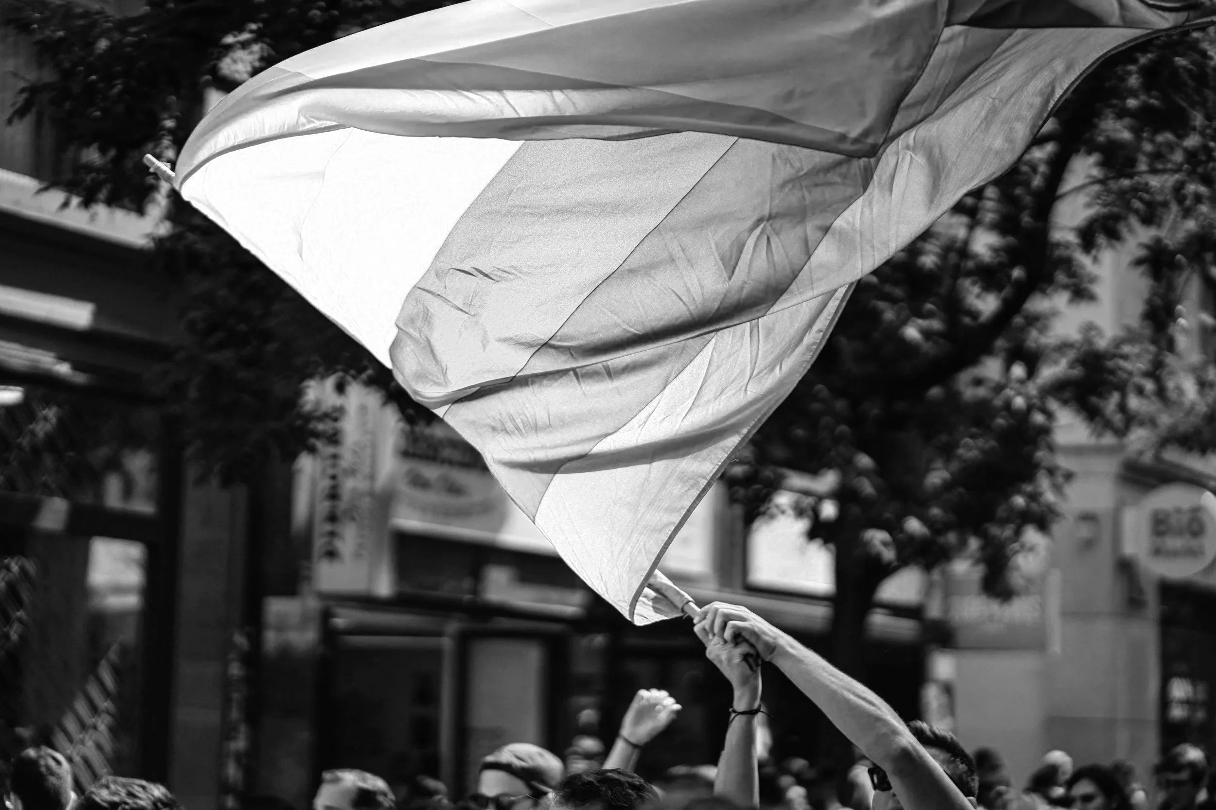 A black and white photo of a crowd holding up a flag with a stick outdoors, with a background of trees and buildings.