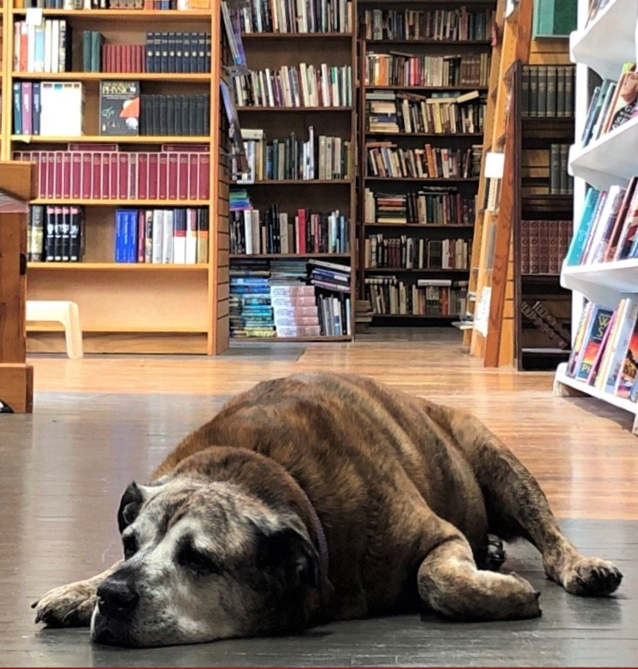 #ThisIsAppalachia: Independent Booksellers