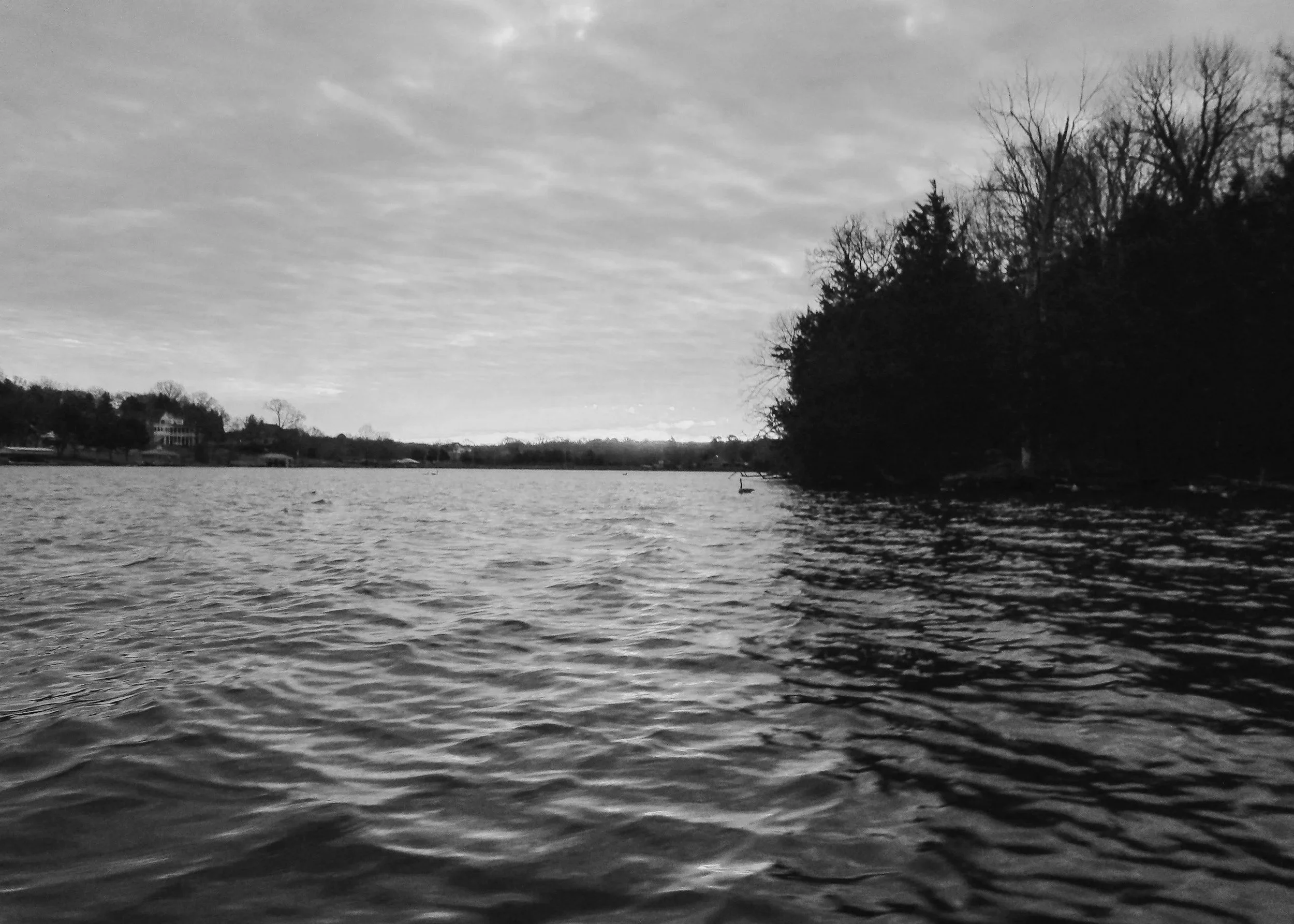 Black and white photo of a body of water with a shoreline and trees in the background, and a cloudy sky overhead.