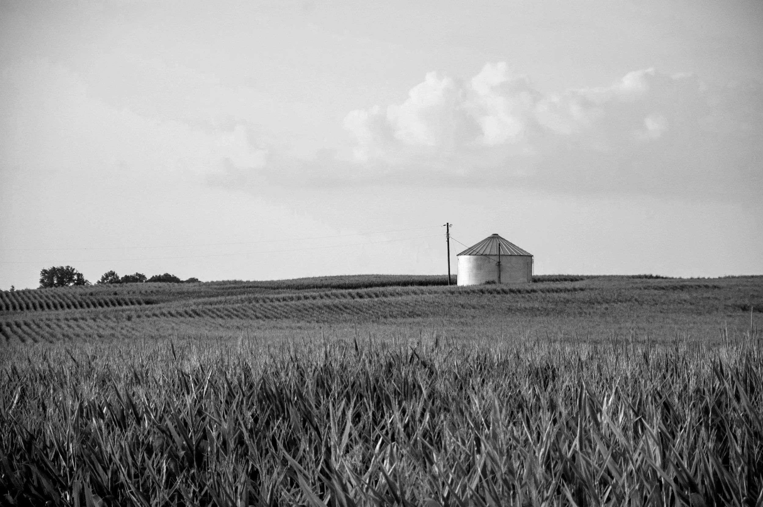 A black and white photograph of a rural landscape with a field of tall grass in the foreground, rolling agricultural fields in the middle ground, and a small silo on the right side with a utility pole nearby. The sky is partly cloudy with a few clouds visible.