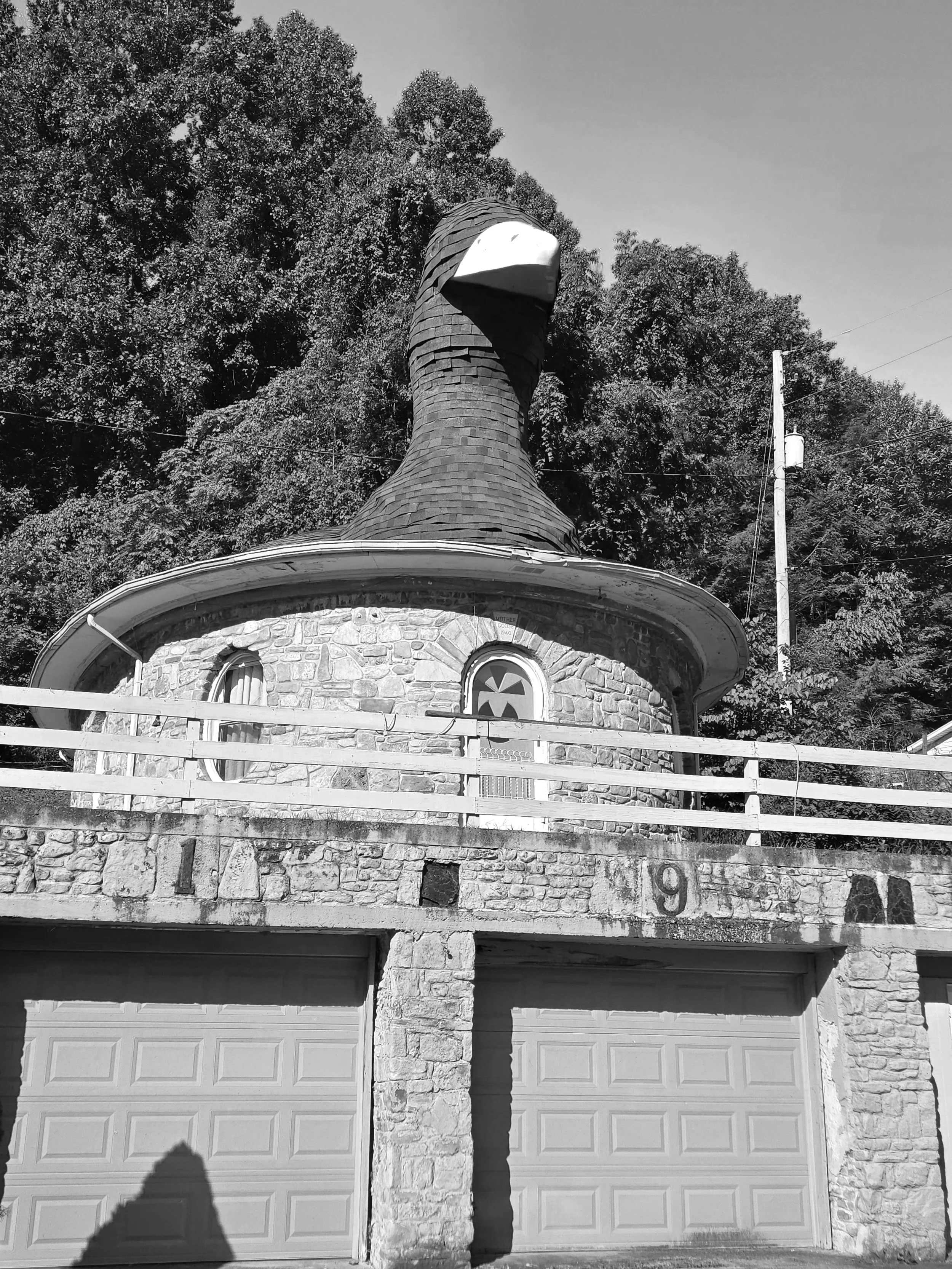 An oval house in Kentucky with a stone facade, that has a domed roof with the neck and head of a goose sticking out the front, a small arched window with a cross design, and a wooden fence in front, surrounded by trees and power lines.