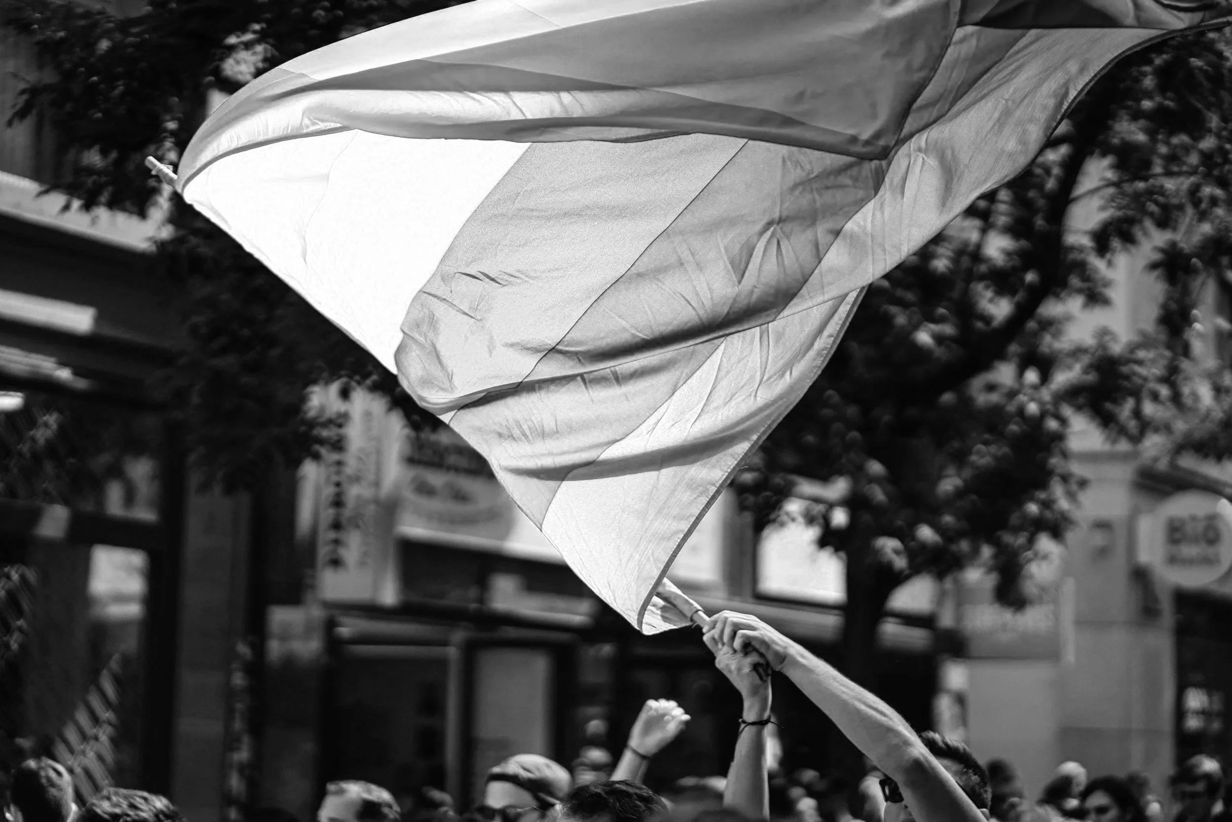 A group of people participating in a public event or protest, holding and waving flags.