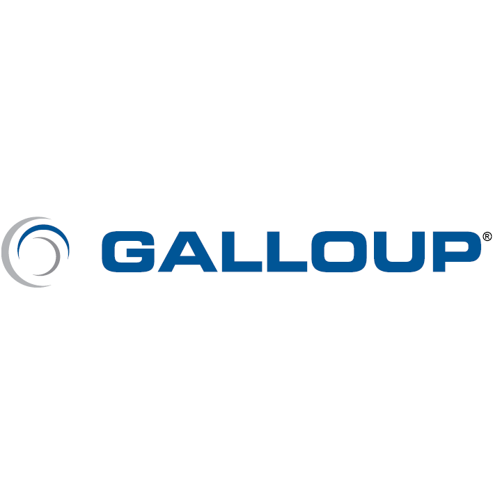 Galloup logo with stylized swirl icon and bold blue text