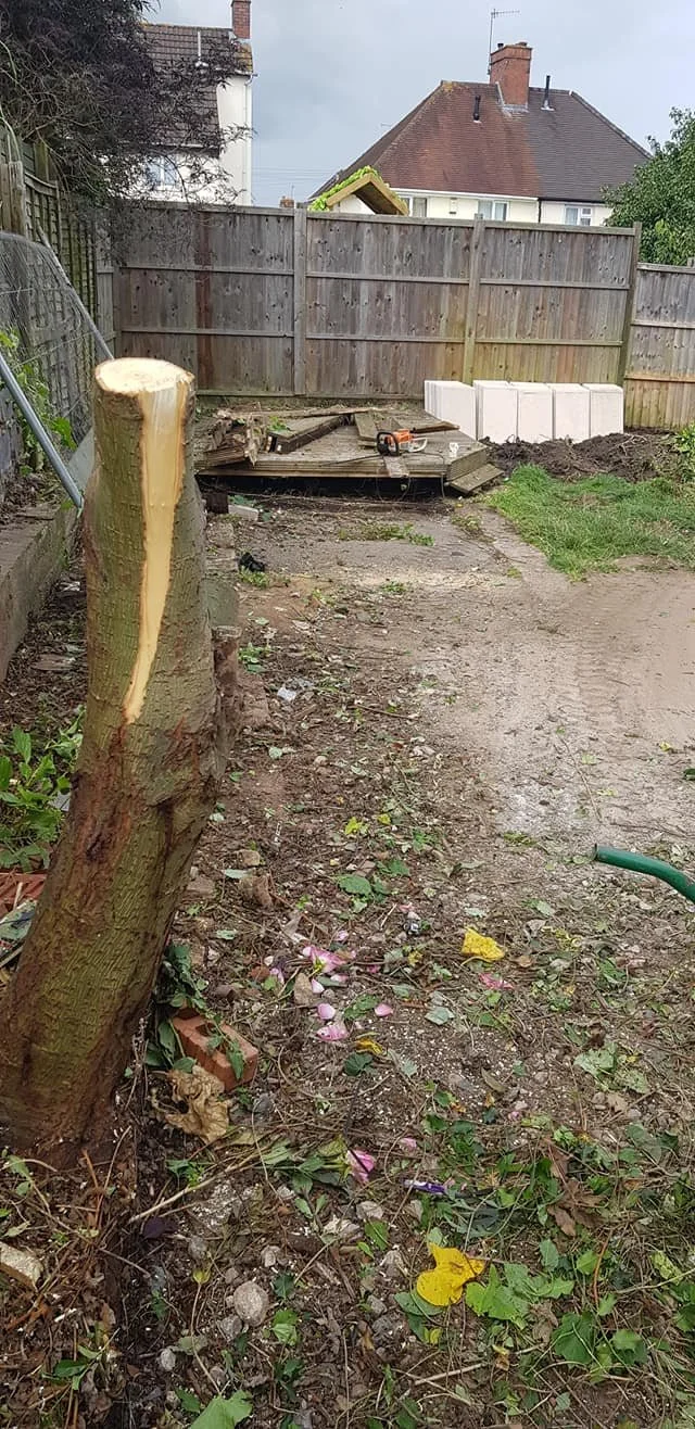 Backyard with a cut tree stump, dirt ground, a wooden fence, house with pitched roof, and construction materials in the background.