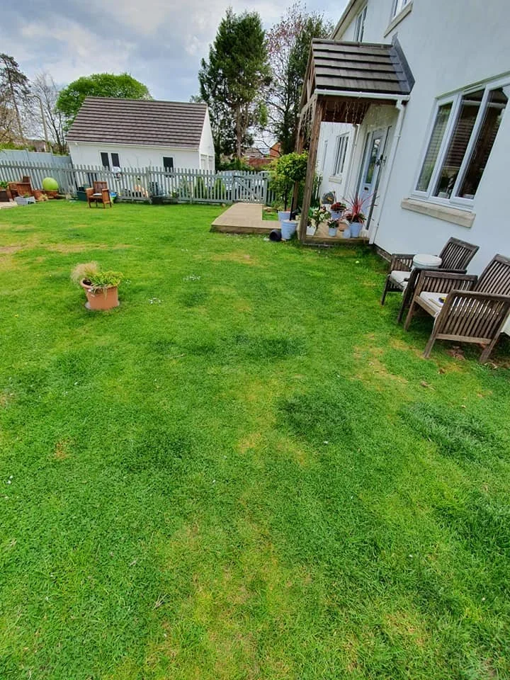 Backyard with green grass, potted plants, wooden chairs, a garden shed, and a white house with large windows.