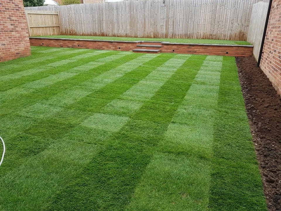 A backyard with freshly laid sod grass in alternating light and dark green stripes, bordered on one side by brick house wall and on the other by a wooden fence. There are steps leading up to a slightly elevated grassy area in the back.