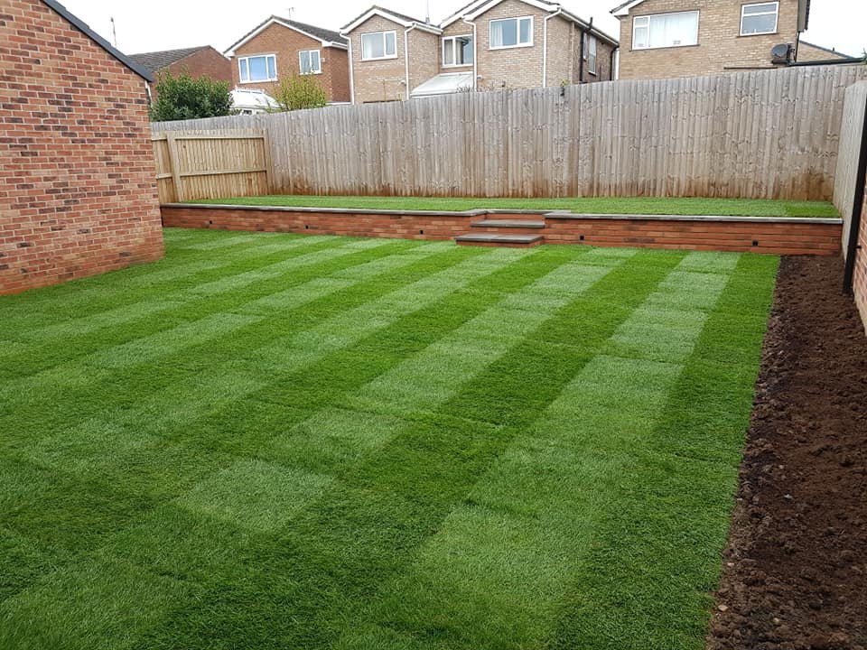 A backyard with a freshly laid striped green lawn, wooden fence, and a small brick patio with steps in the background.