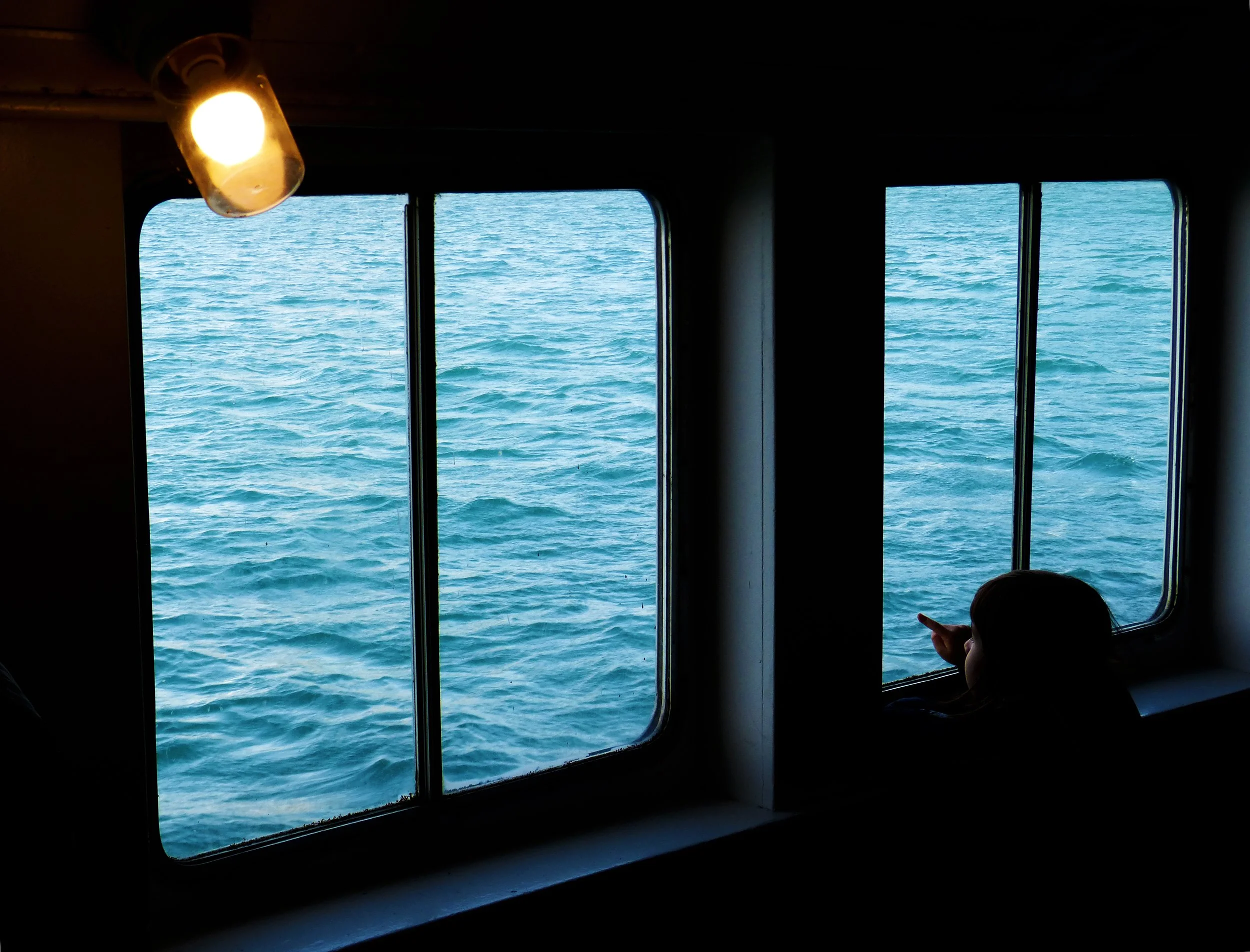 P1170732 (2018_12_19 15_14_33 UTC).jpg