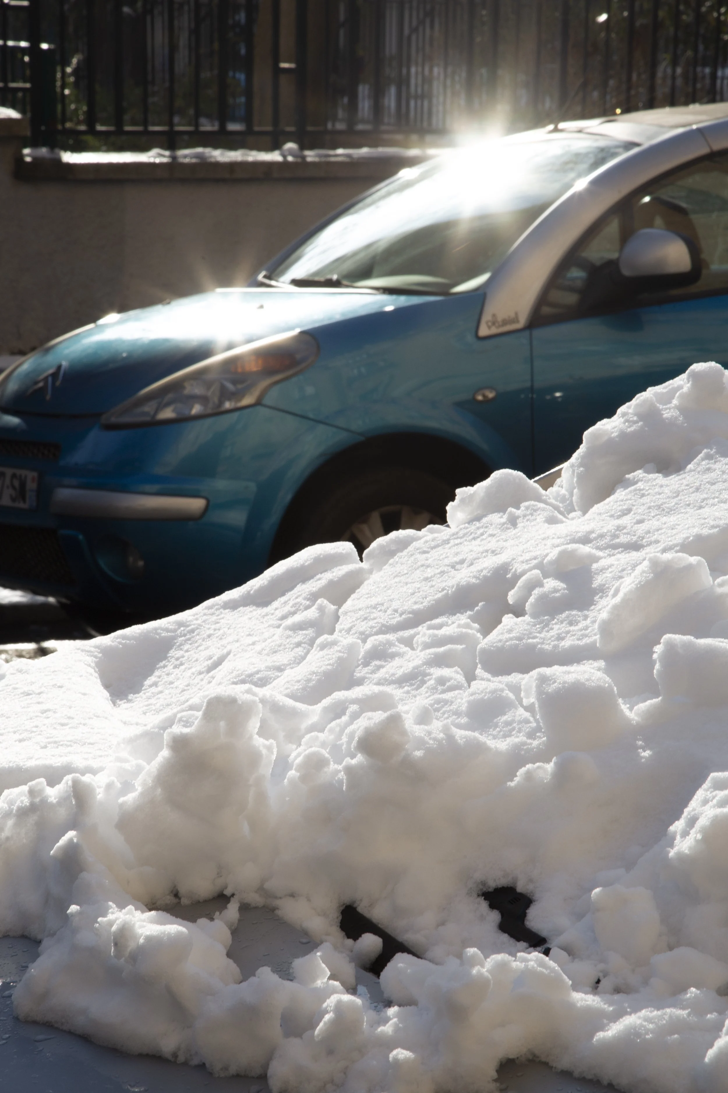 _MG_4536.jpg