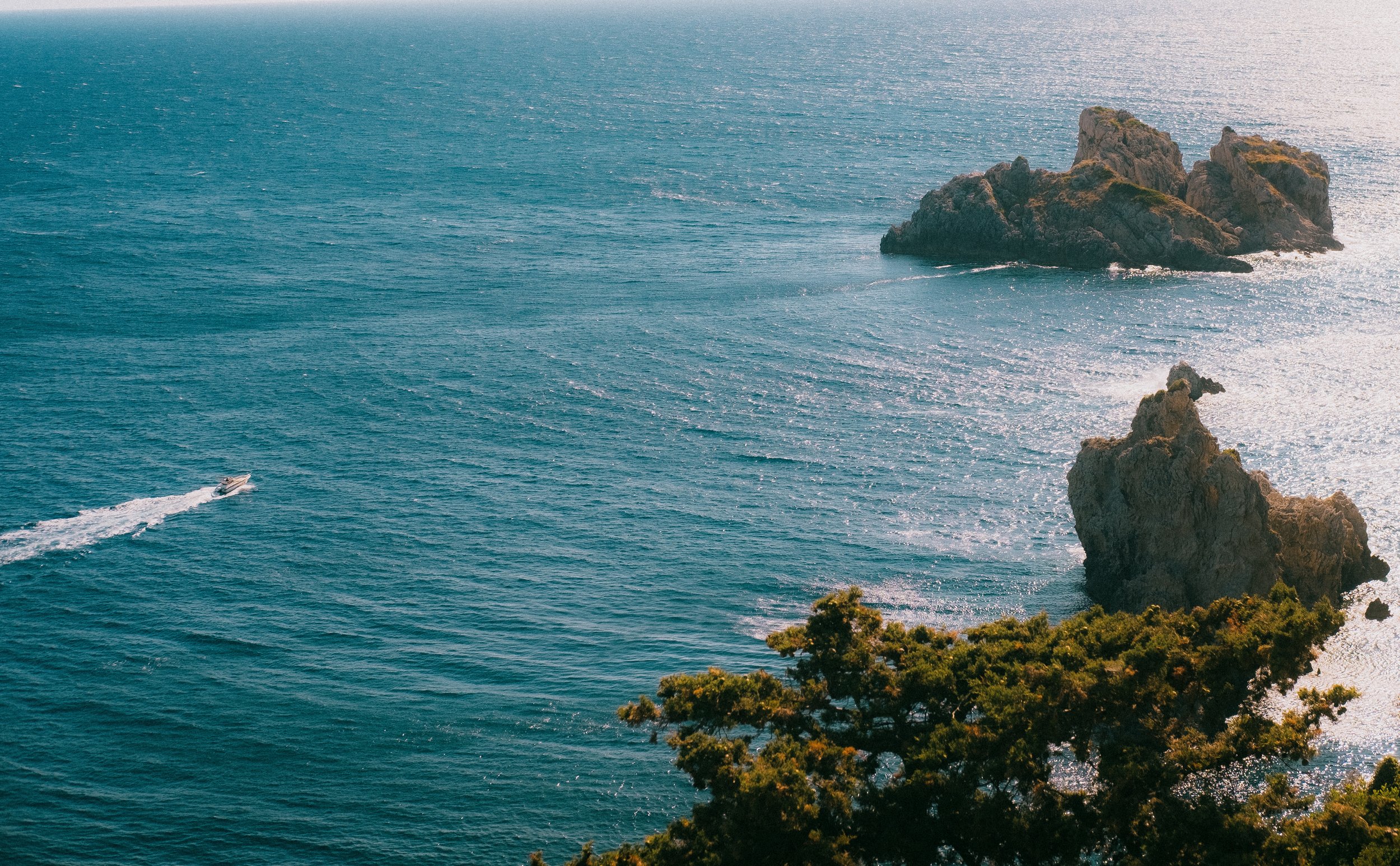 DSCF2113.jpg