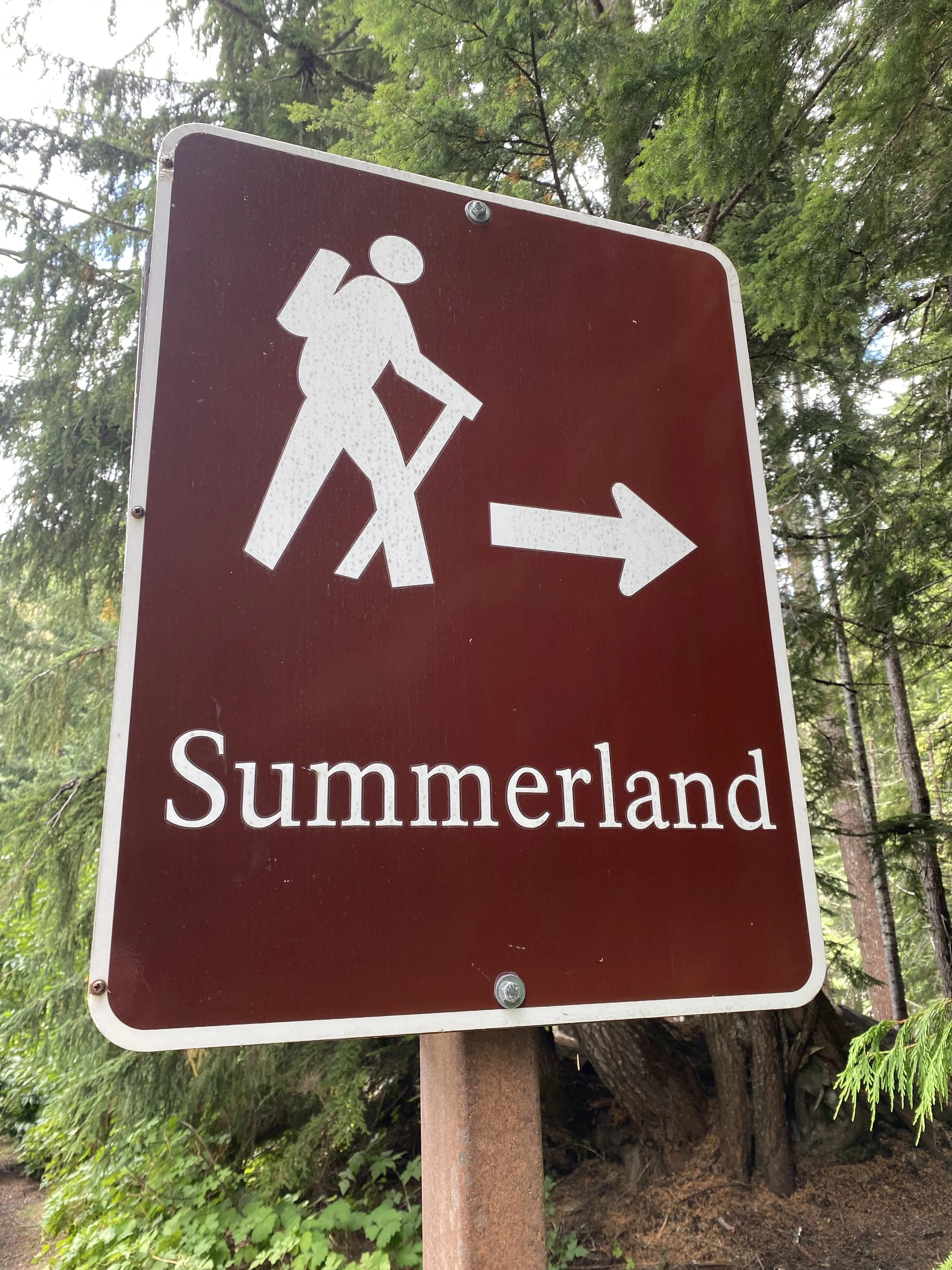 Pricing information for Summerland Psychology- online therapy for adults in WA and 40+ states