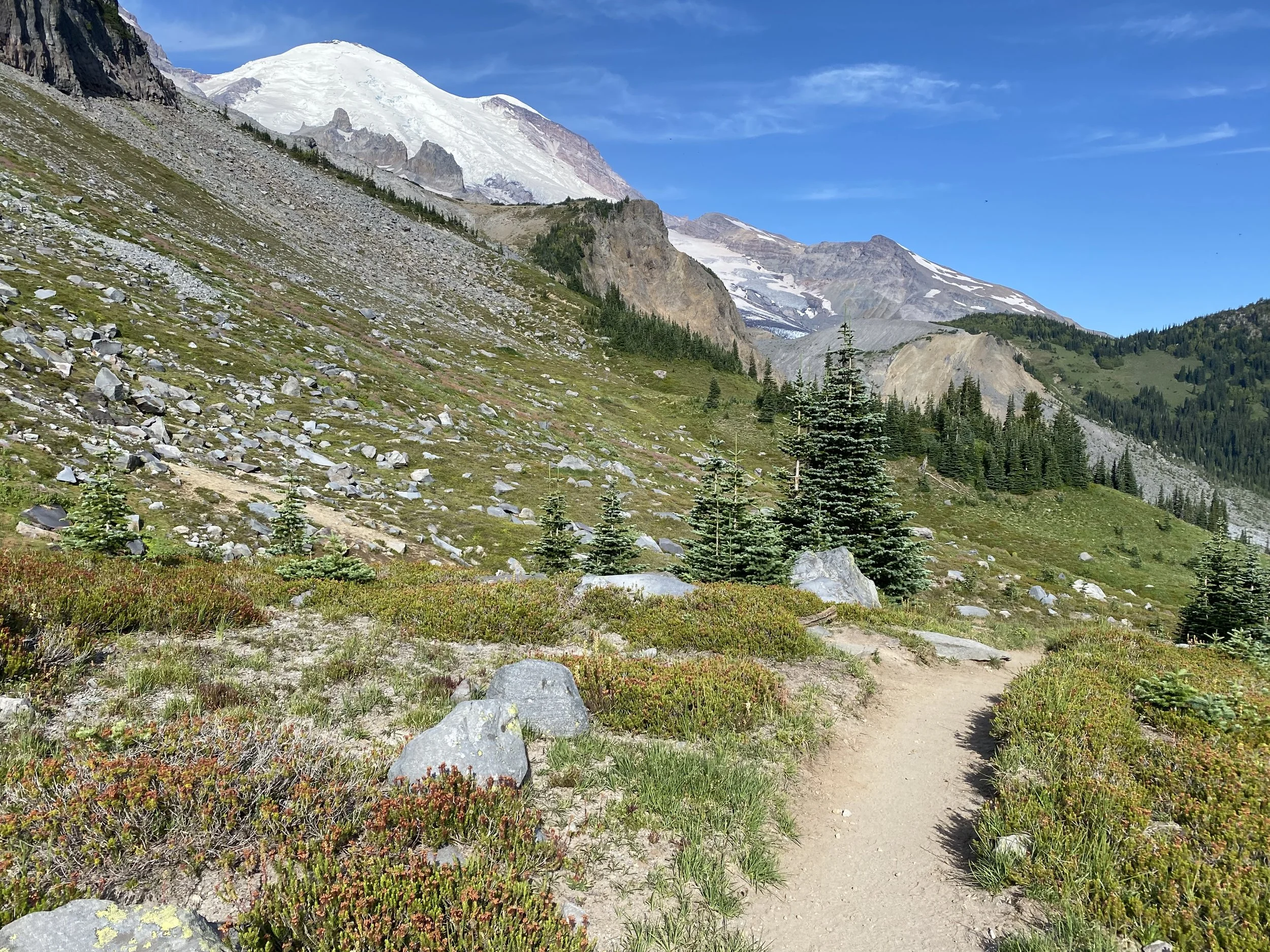 ADHD, Neurodiversity, and Menopause: When Coping Skills Stop Working