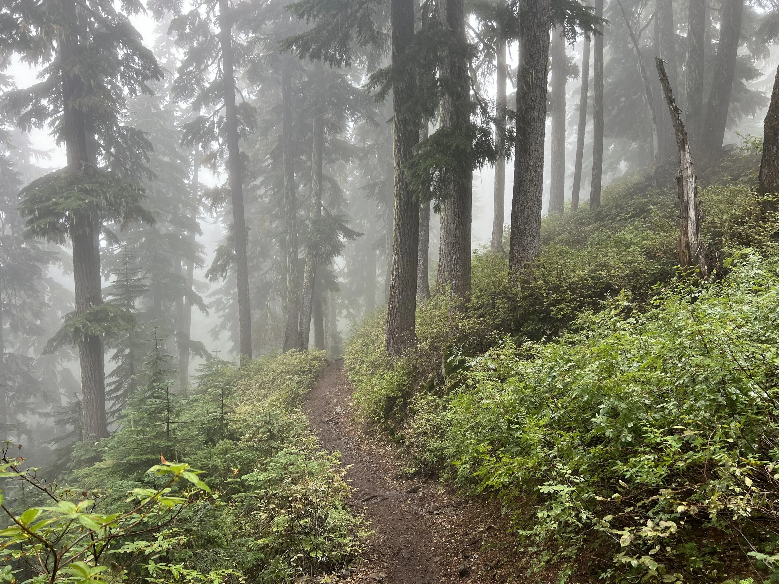 The Hidden Meaning Behind Your Pre-Race Jitters